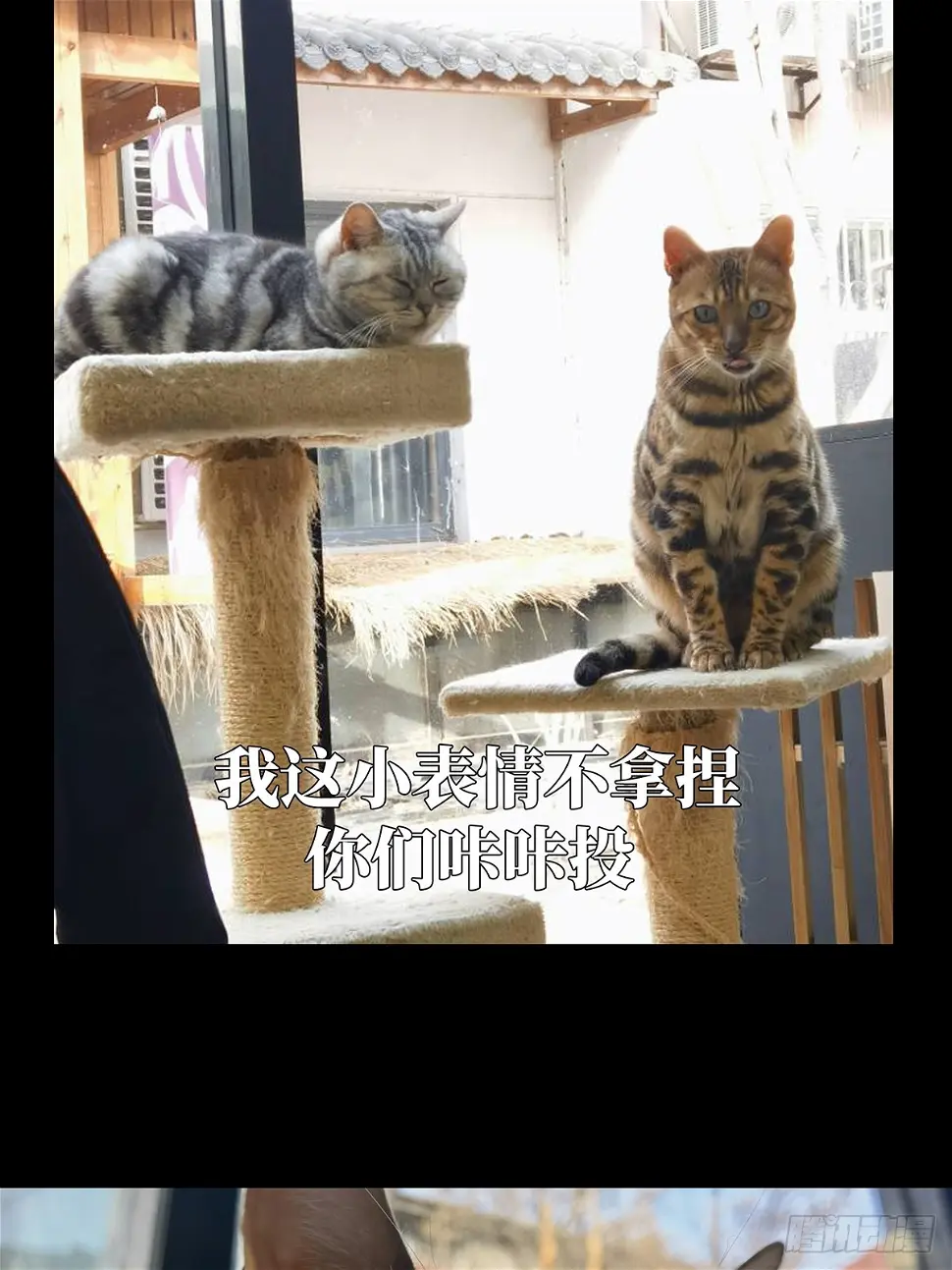 第二百九十三章_入侵中39