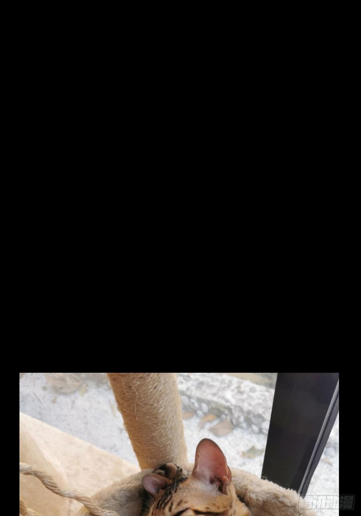 第一百一十一章_封锁中32