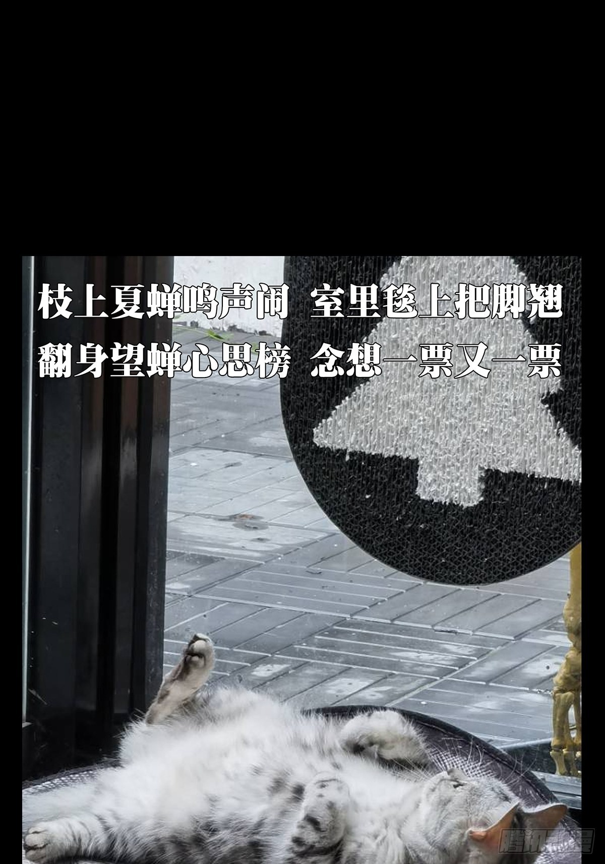 第二百四十章_失去信心下51