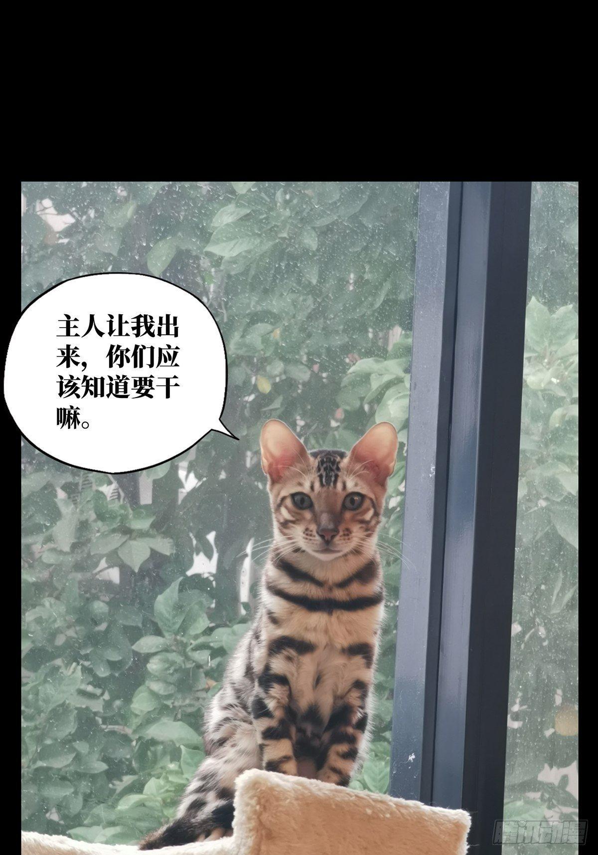 第八十章_交易上33