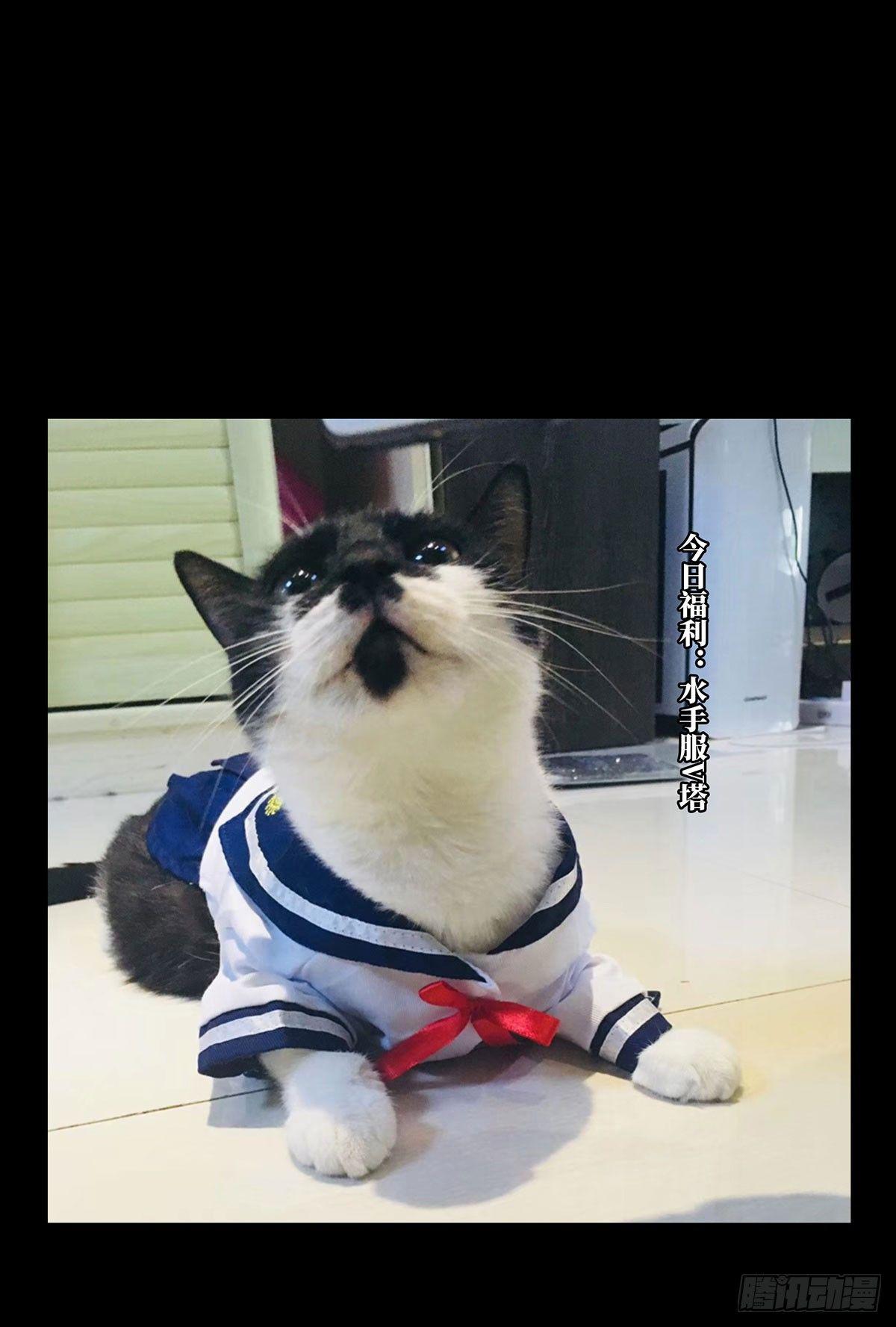 第六十章_信任中33