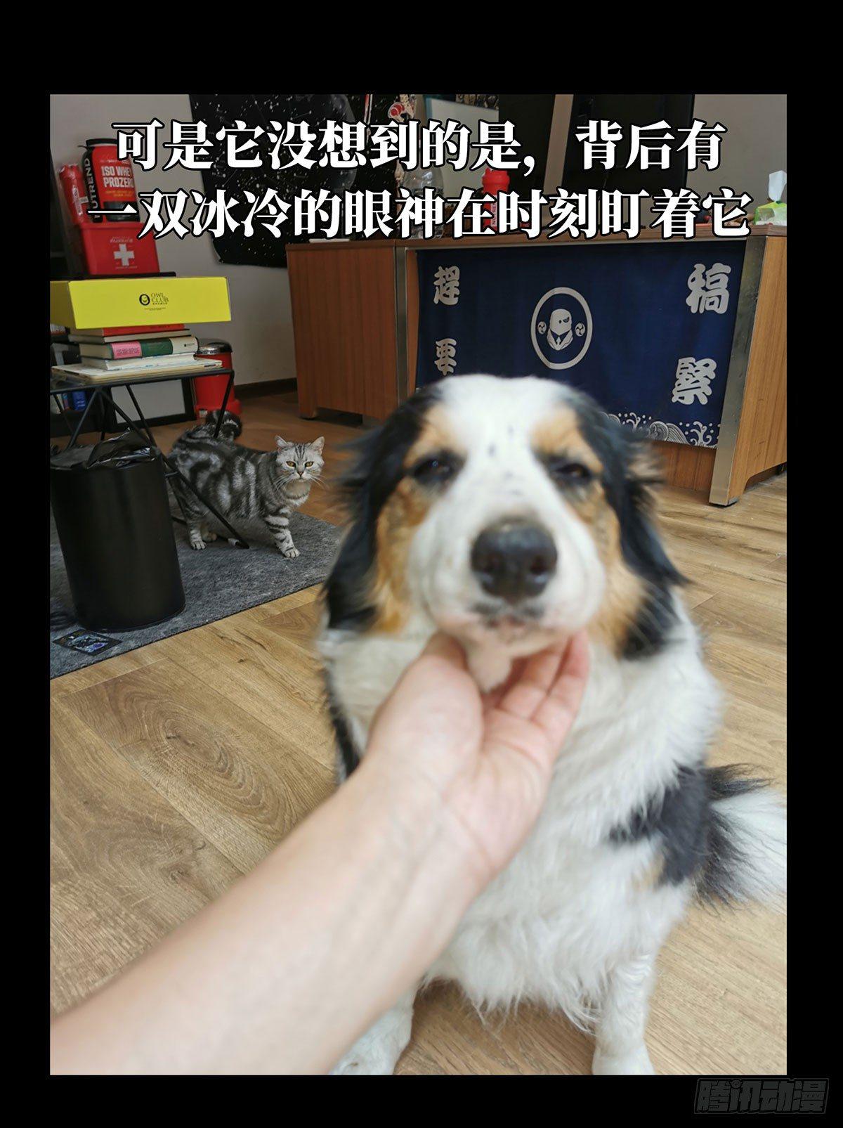 第六十四章_刀与盾下41