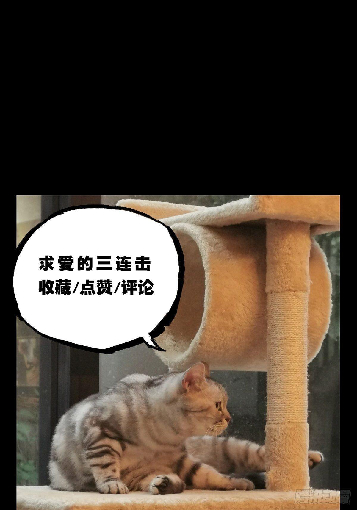 第七十五章_真相中44