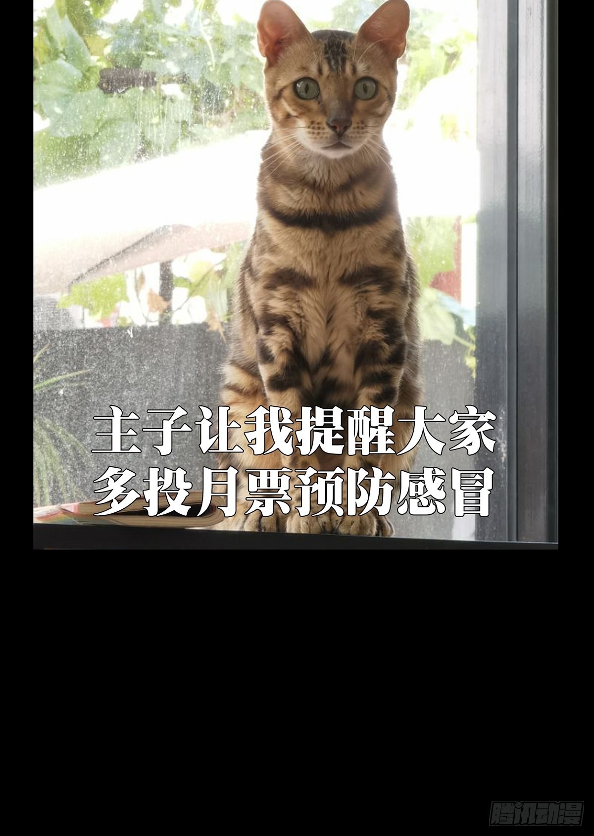 第二百四十七章_躺平上48
