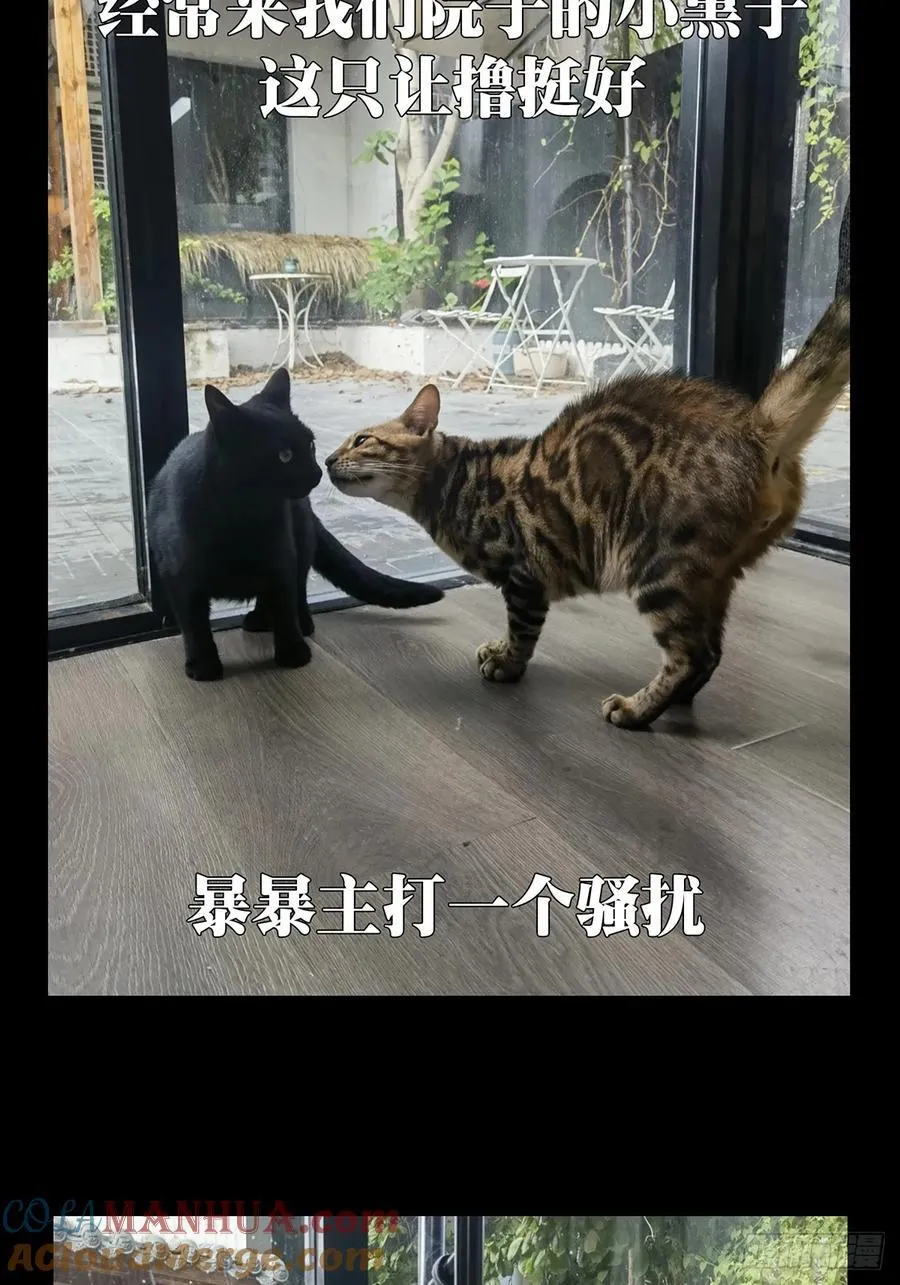 第三百五十一章_上位上48
