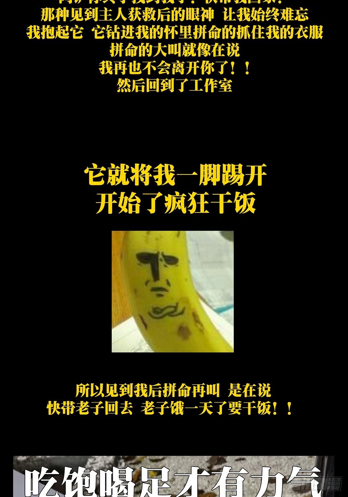 第一百七十章_月茫岛上48