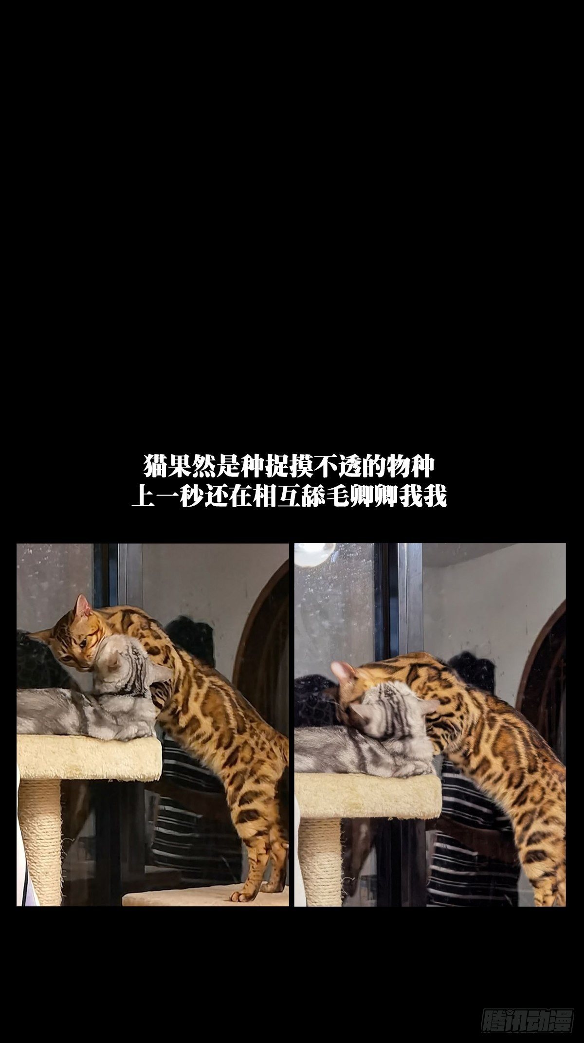 第一百五十八章_约定上40