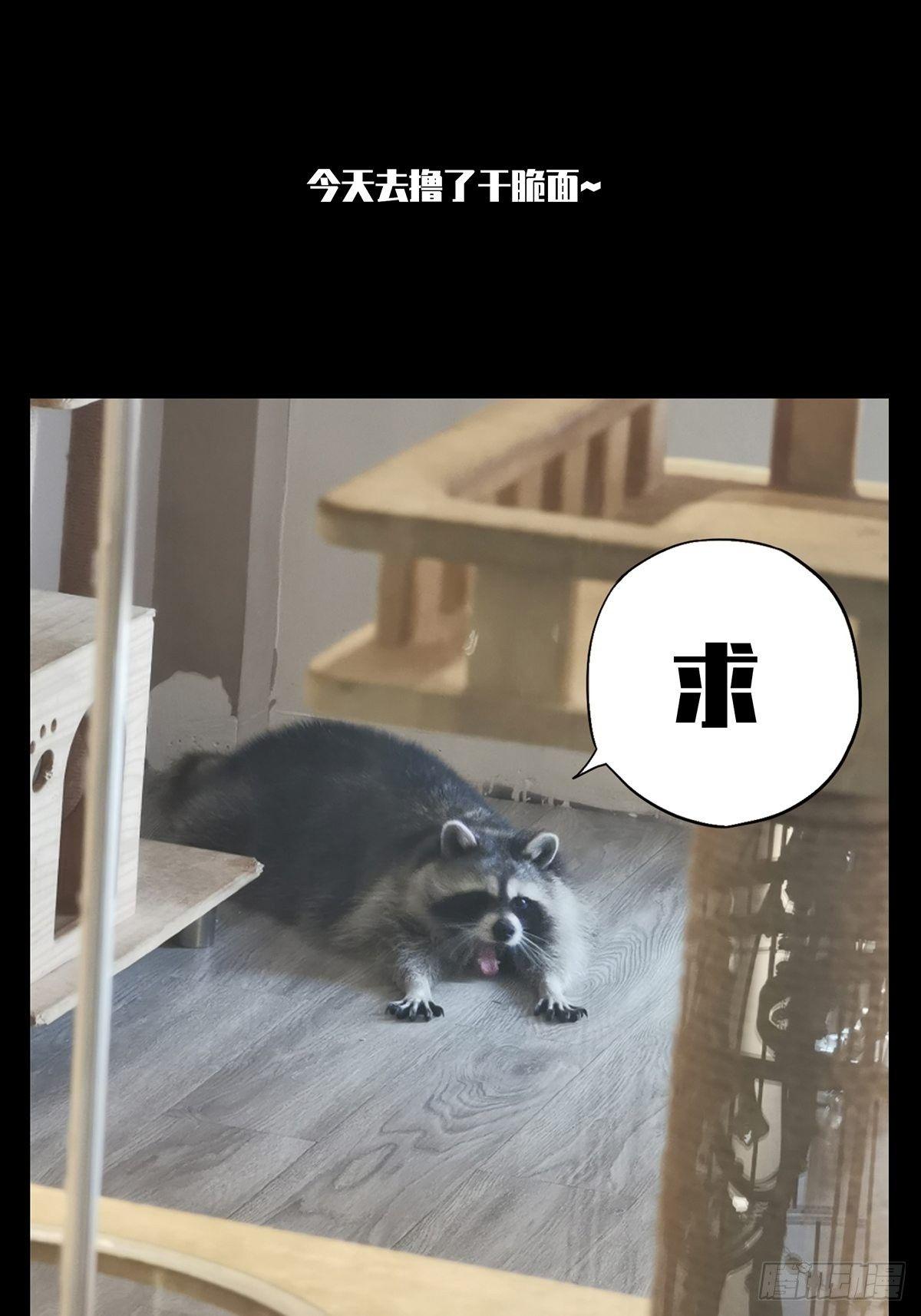 第八十五章_神秘组织下38