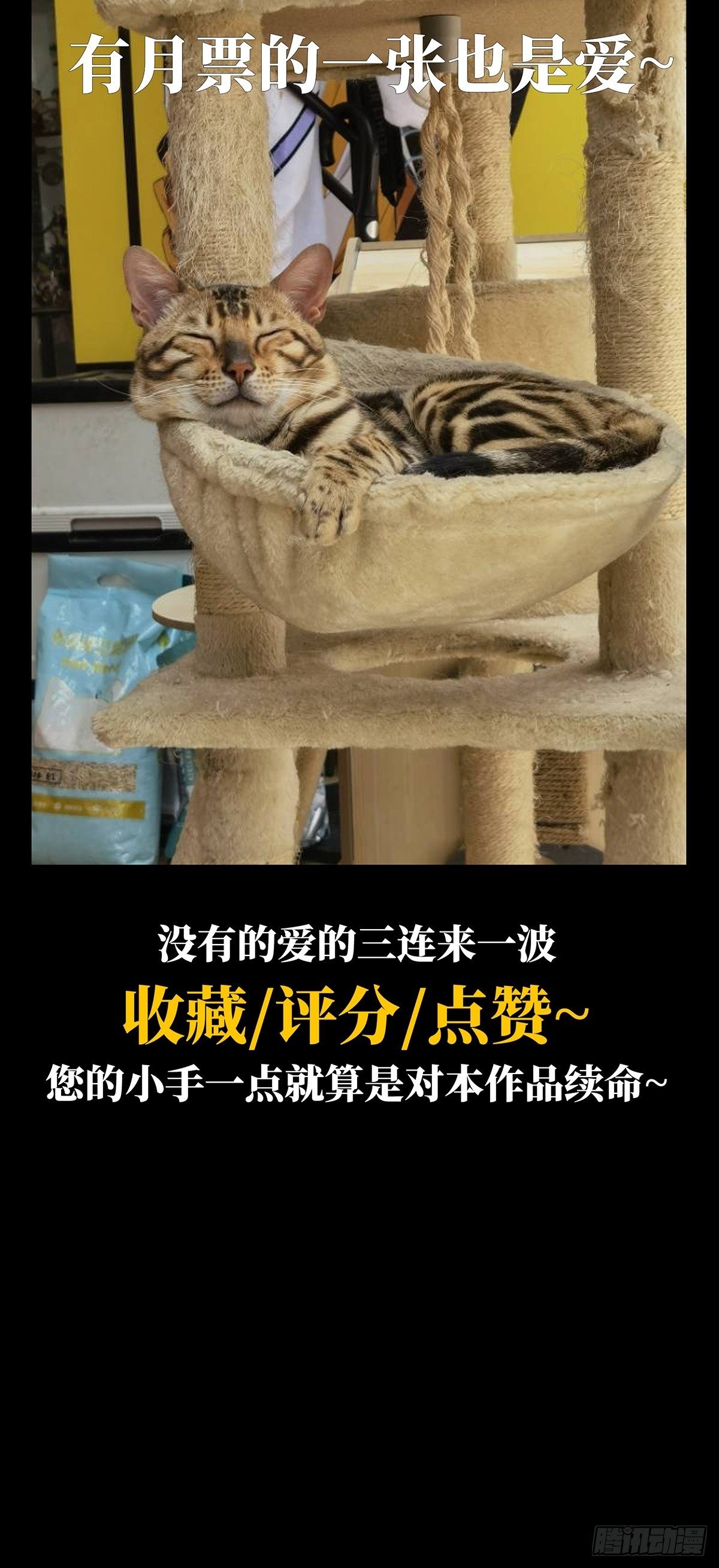 第一百二十九章_情愫中39
