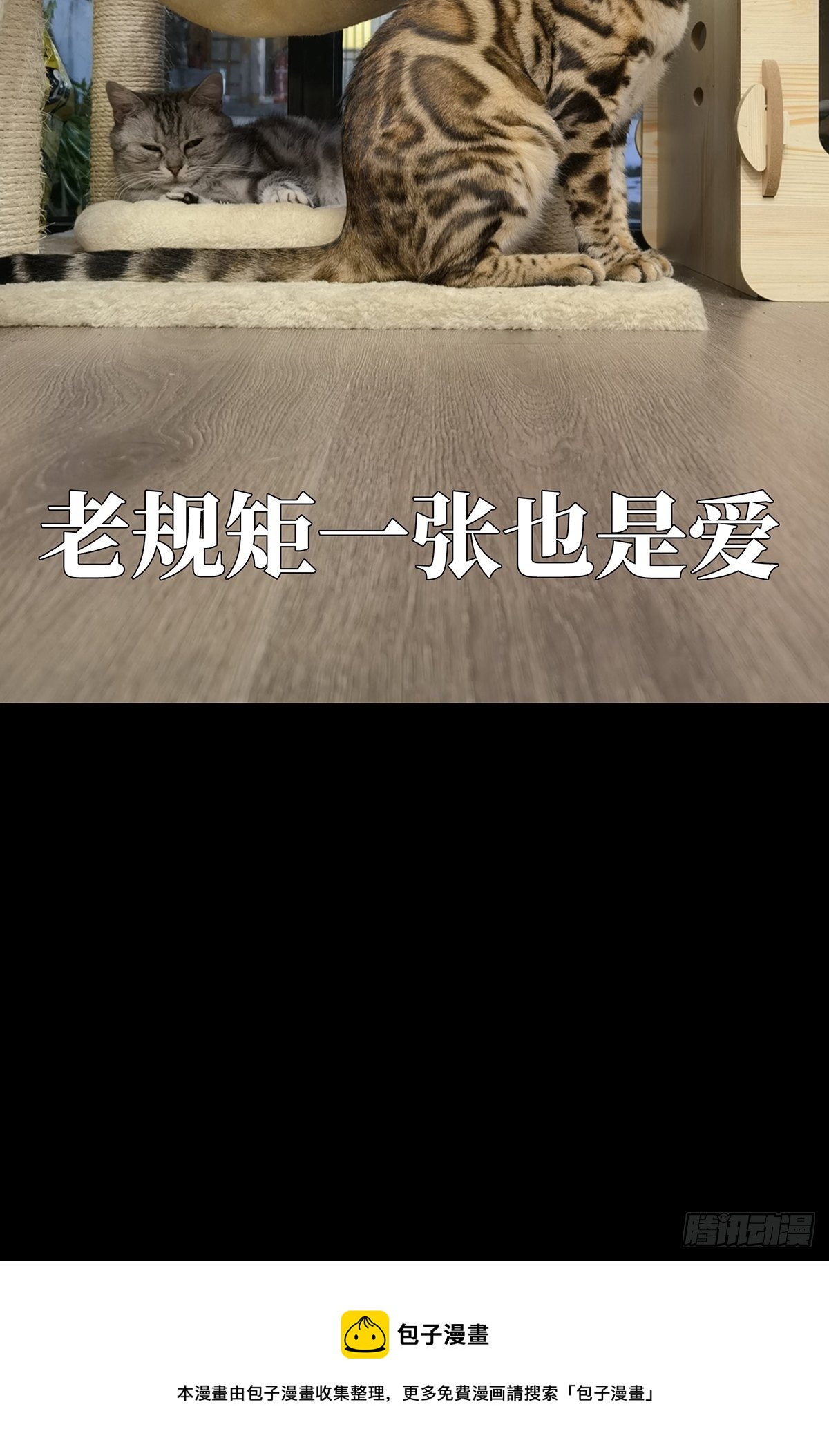 第一百六十三章_会议下44
