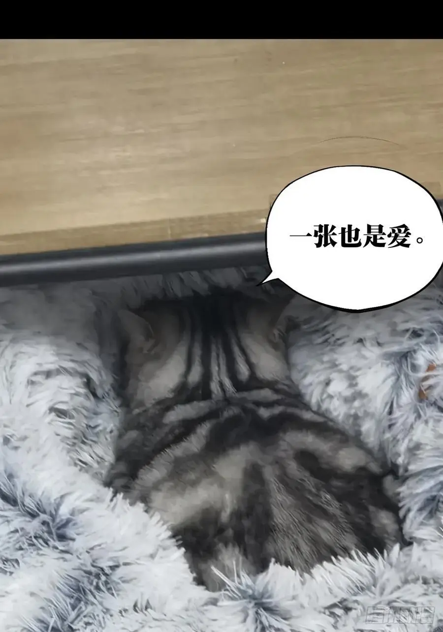 第三百七十八章_六雷上56