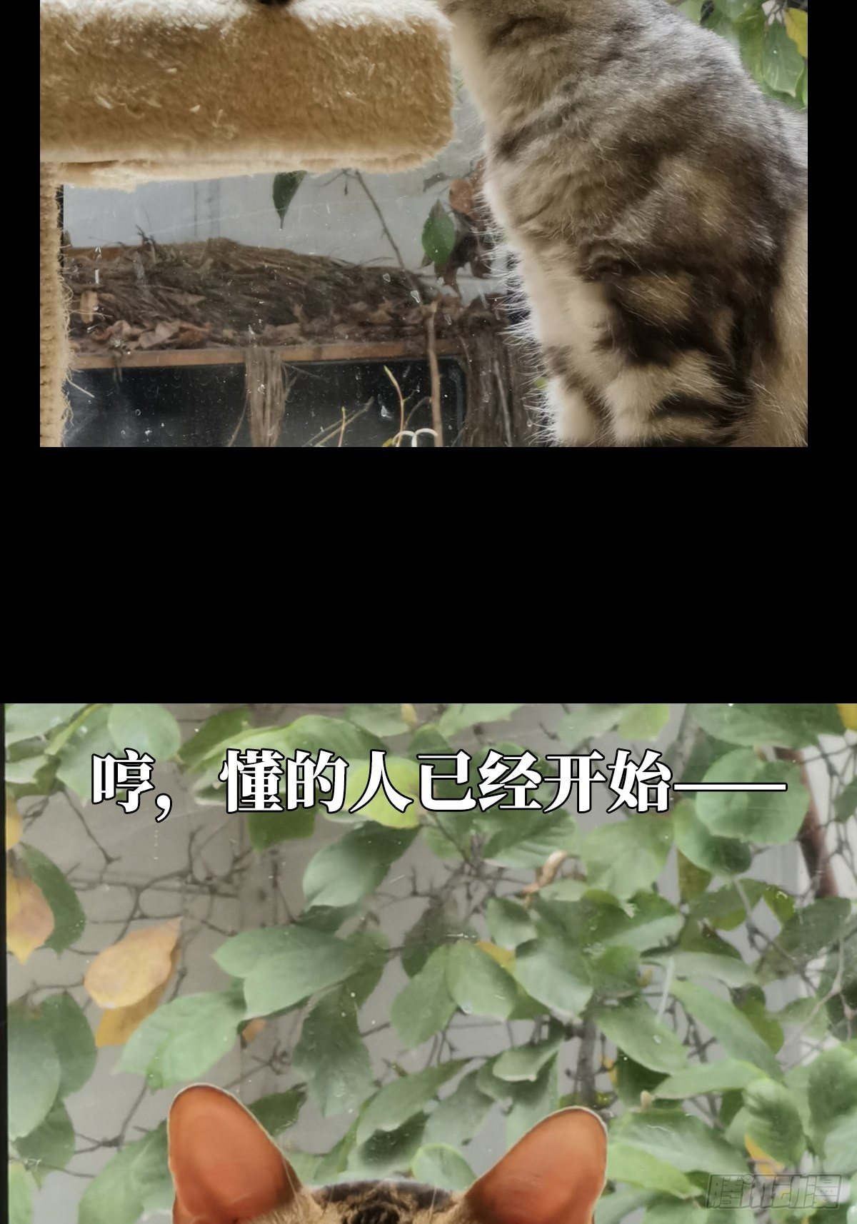 第一百六十六章_牙牙下57