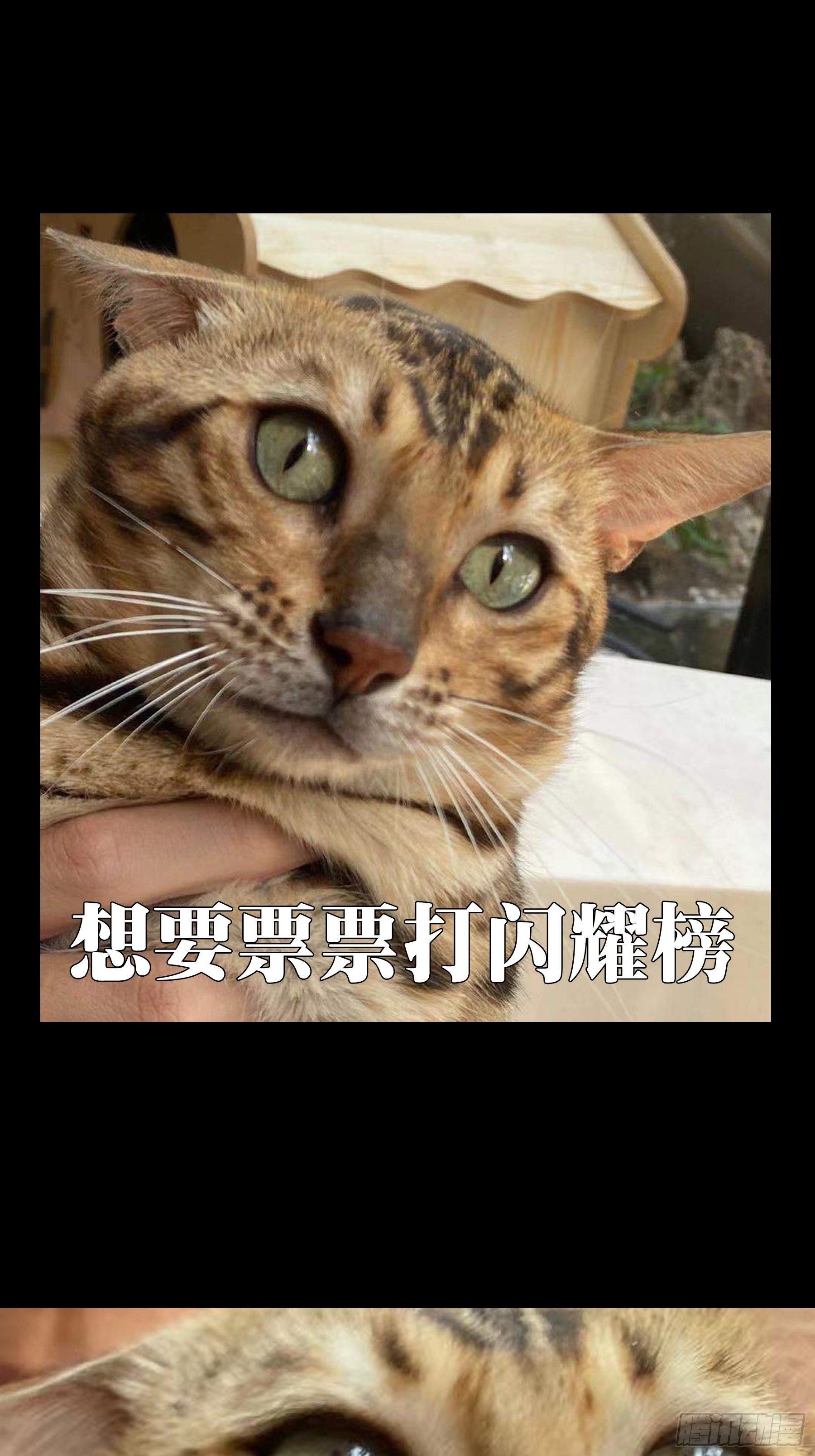 第一百九十三章_活路下40