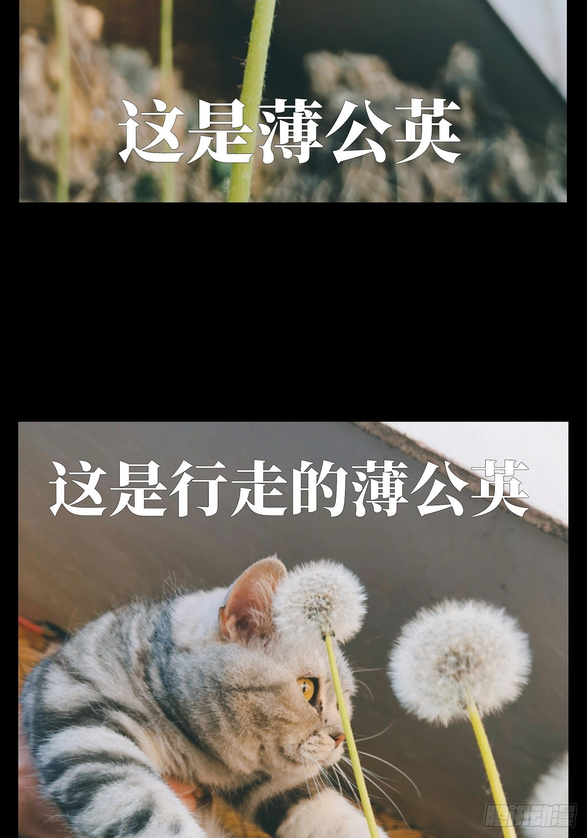 第一百三十章_情愫下41