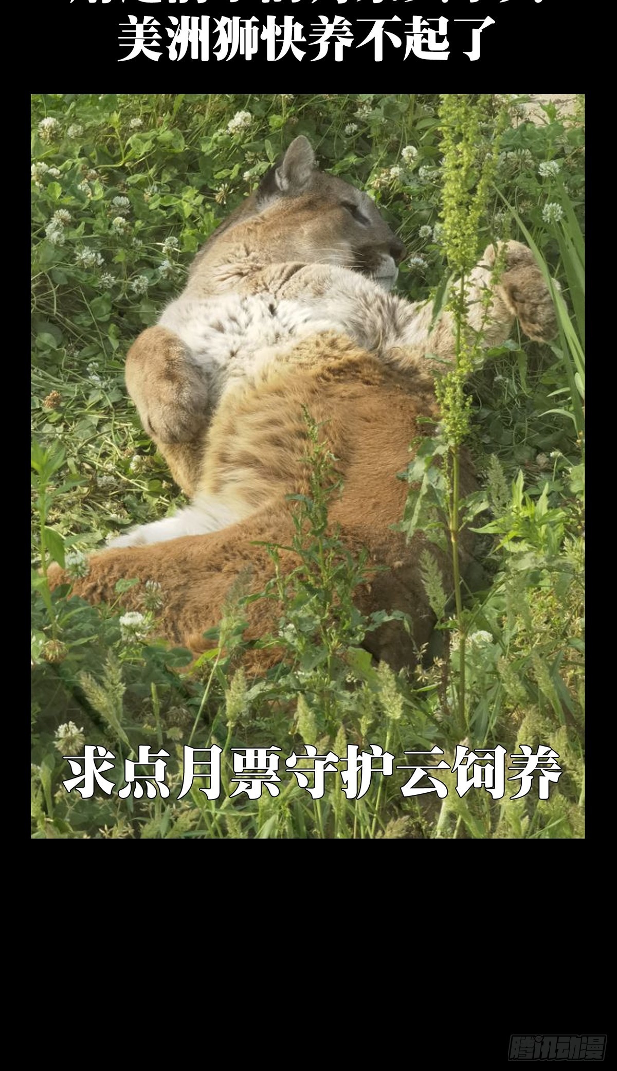第二百二十六章_抢房子上47