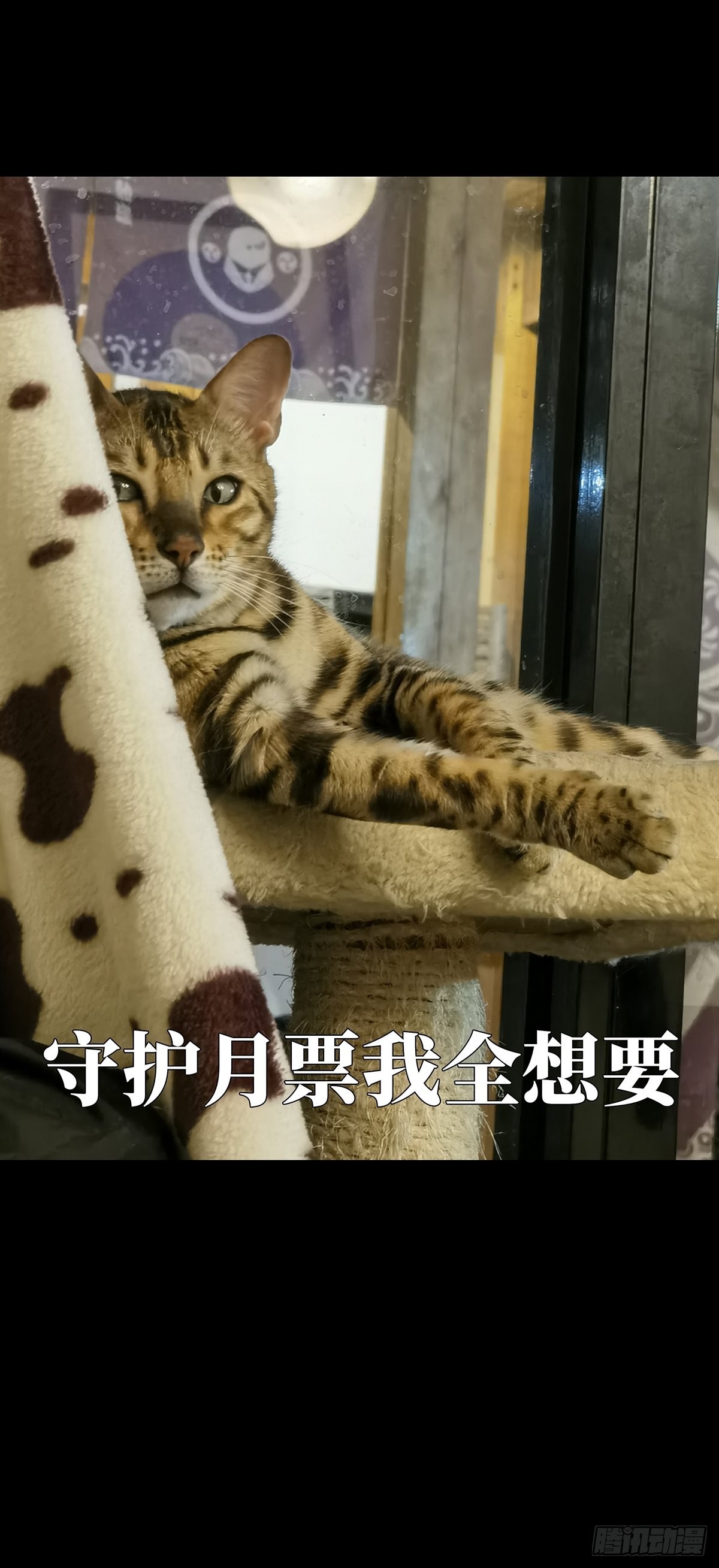 第二百二十四章_夺魁赛开始中37