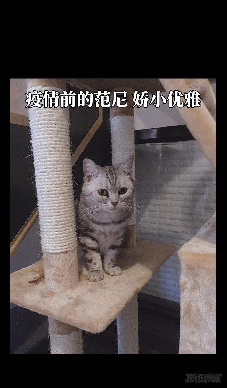 第四十六章_悲剧下43