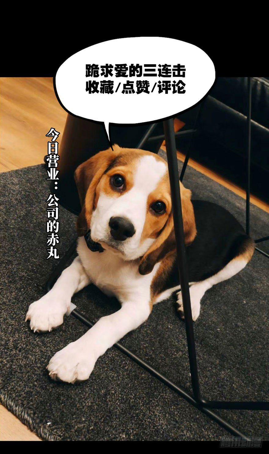 第二十六章_封存上38