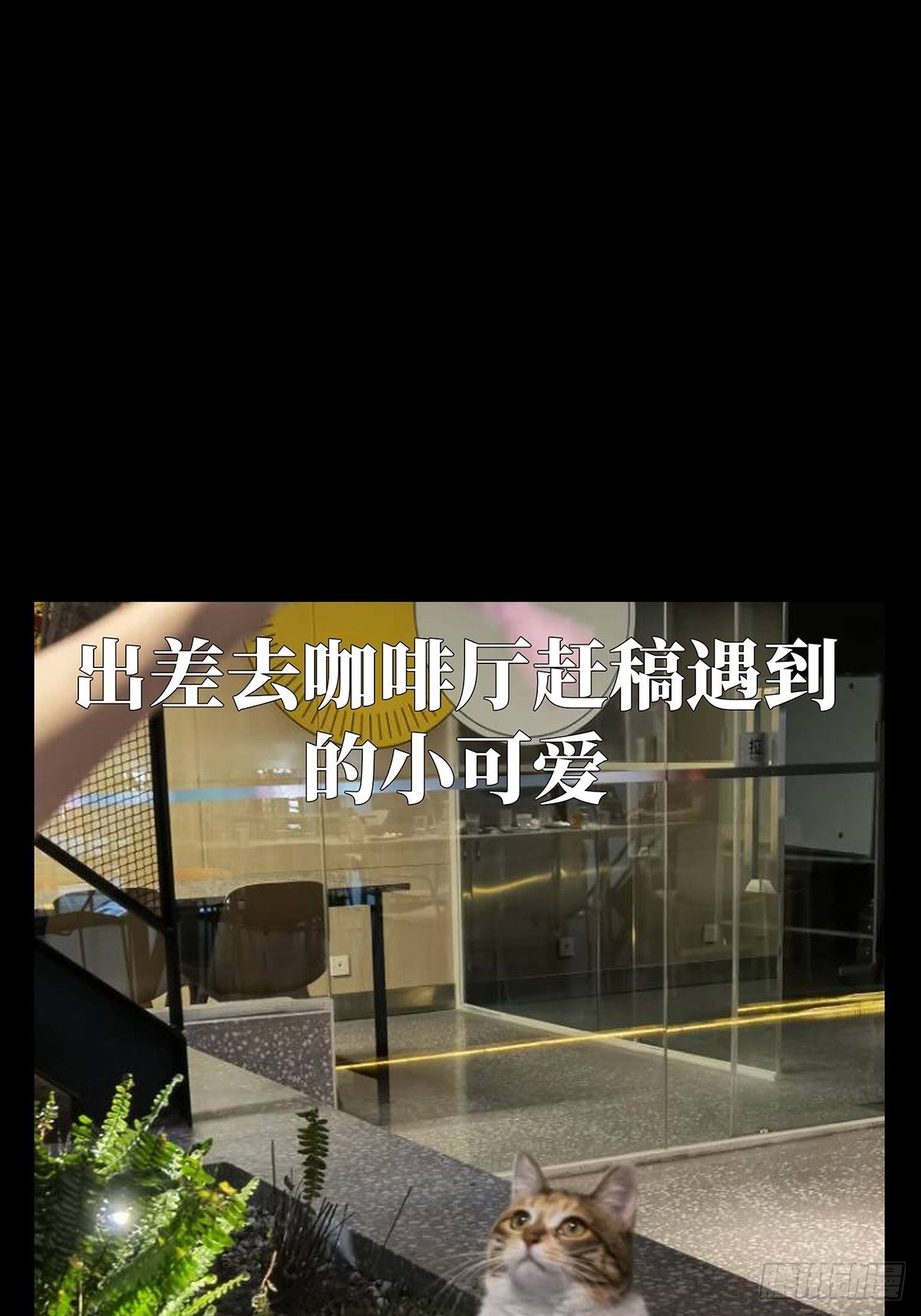 第一百三十五章_任务中36