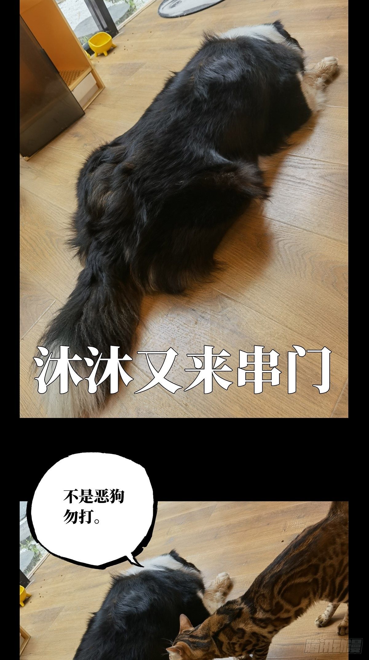 第一百四十八章_能力下43
