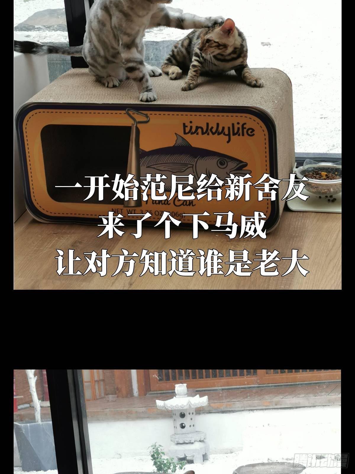 第六十七章_病态下44