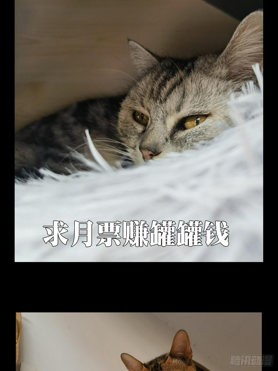 第三百章_怒火下37