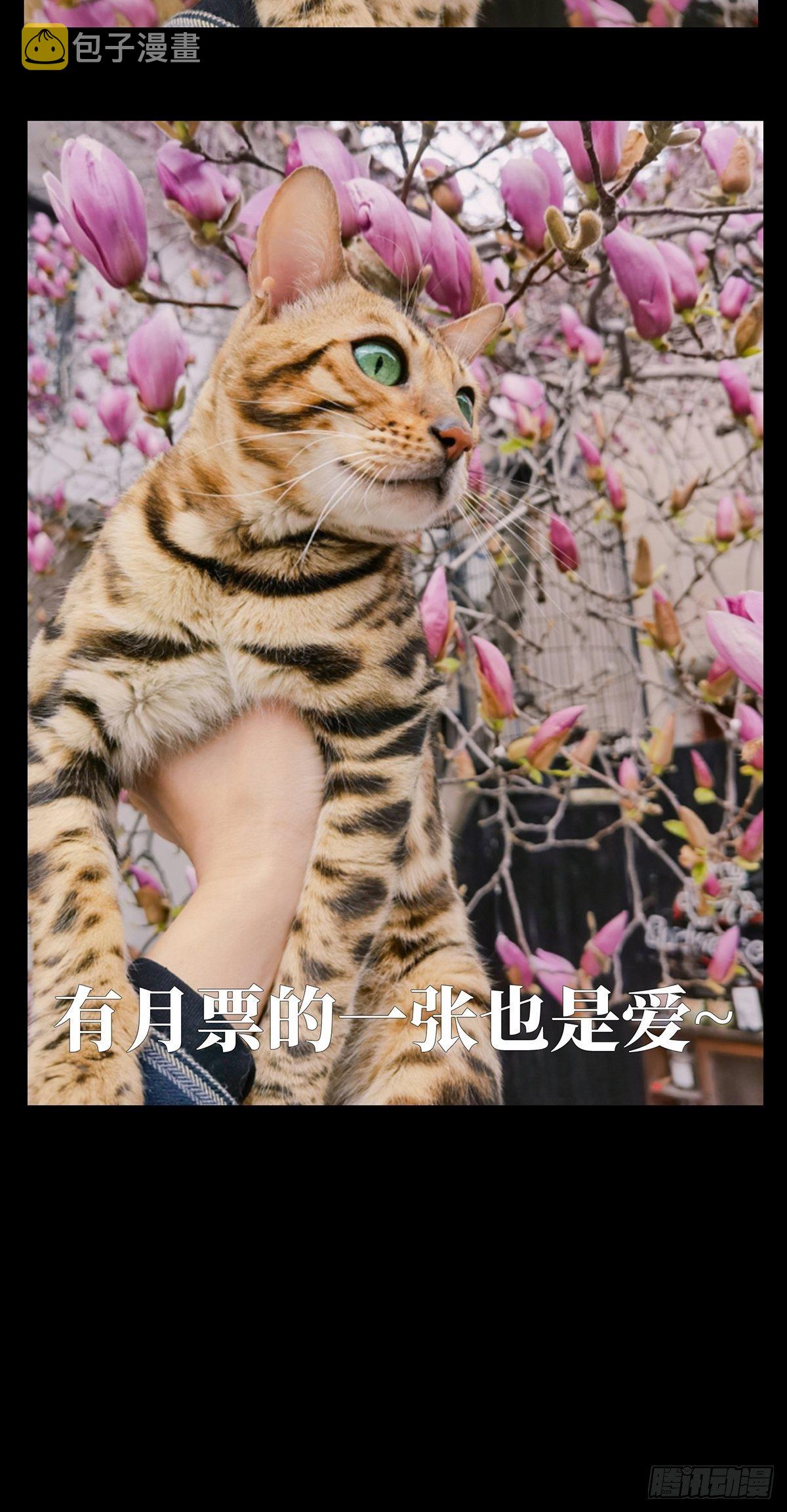 第一百二十七章_情感下46