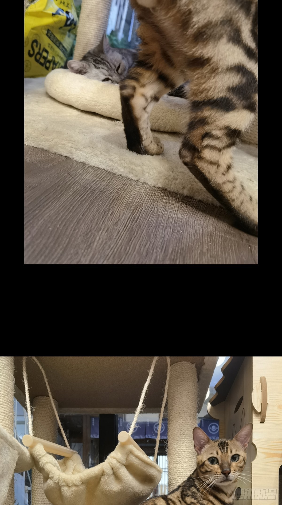 第一百六十三章_会议下43