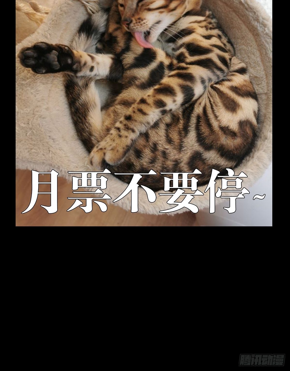 第一百一十一章_封锁中33