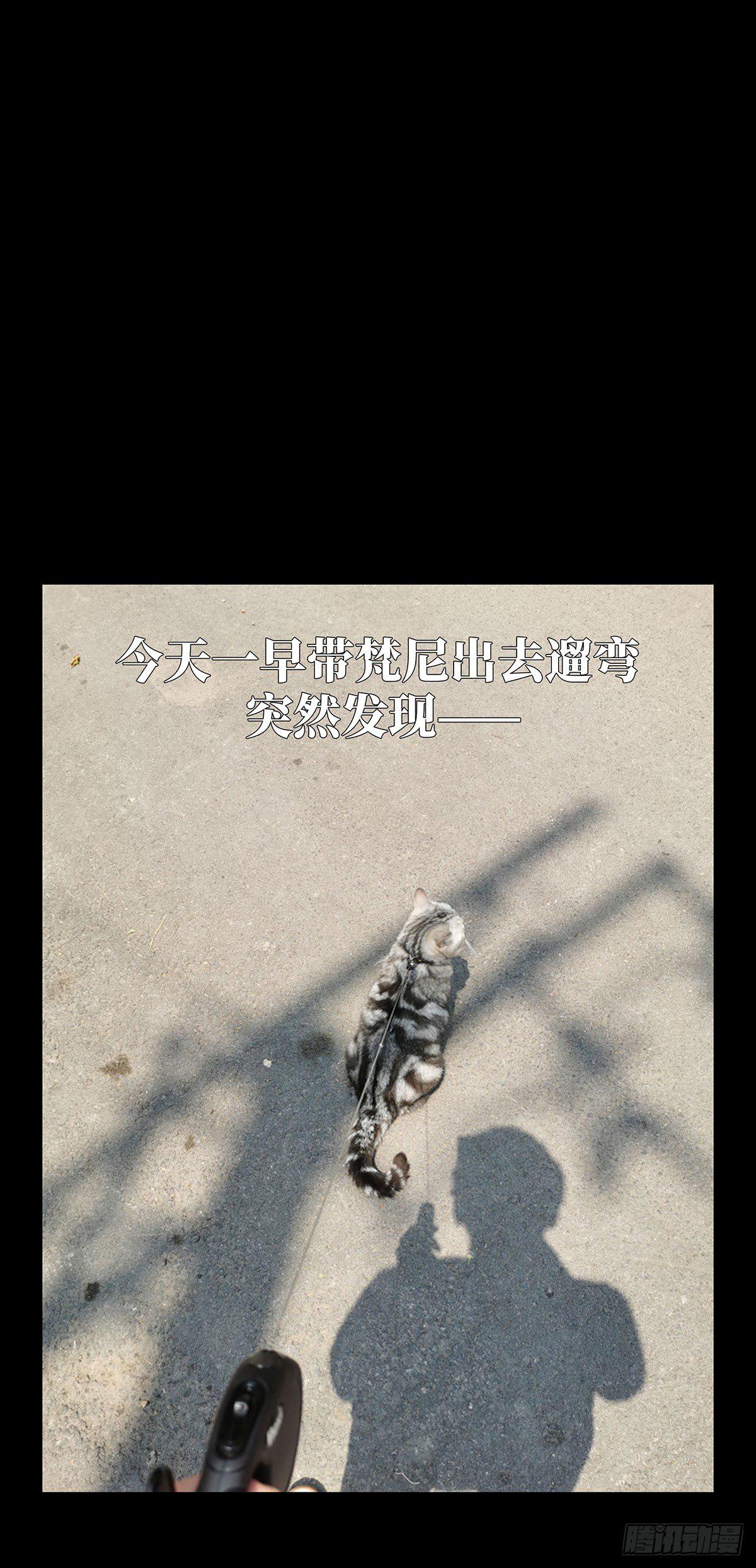 第六十二章_刀与盾上43