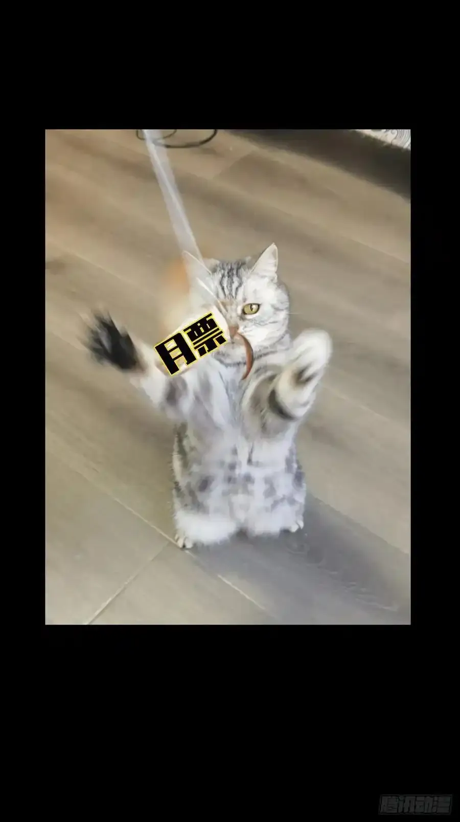 第三百八十二章_追踪中47