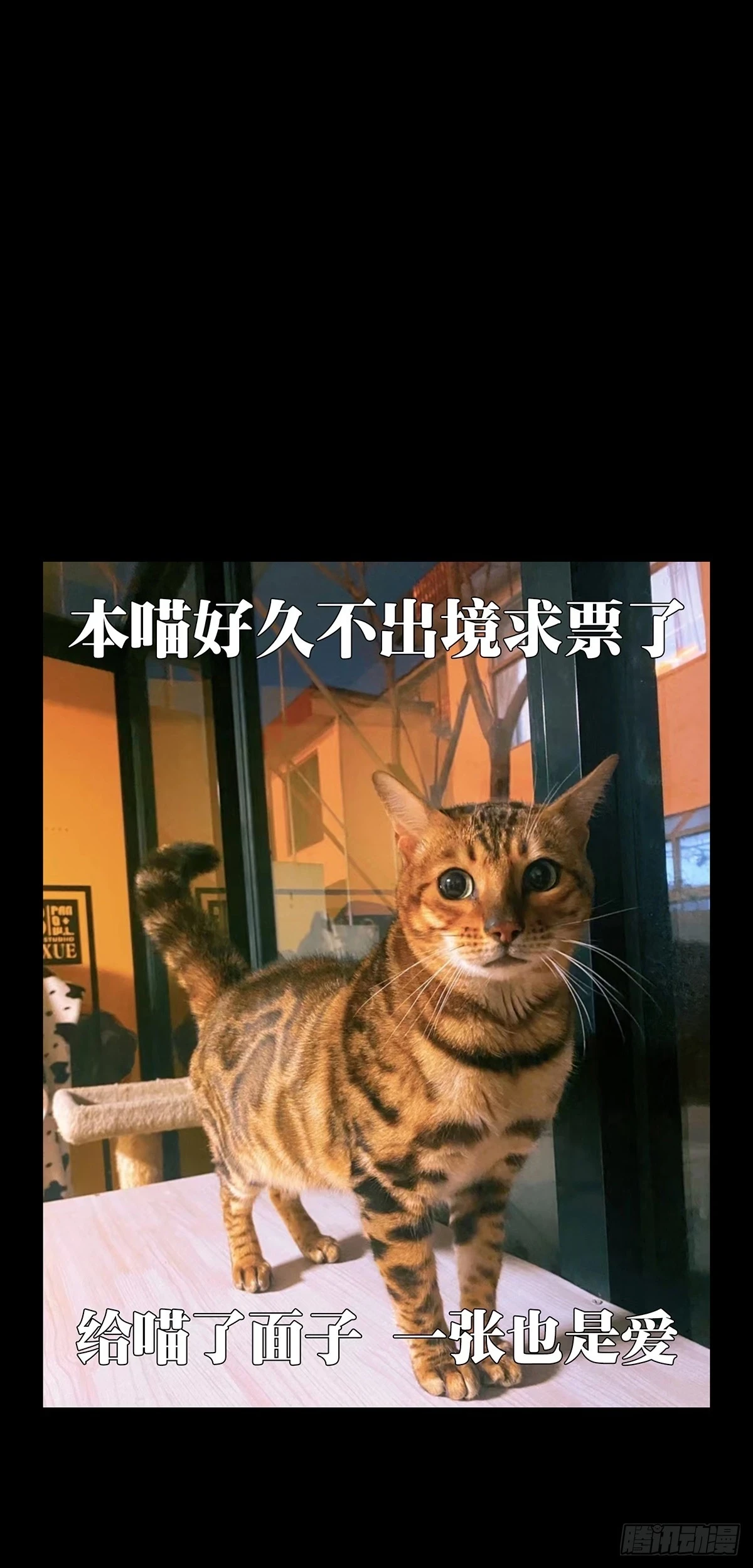 第二百八十六章_怨念上50