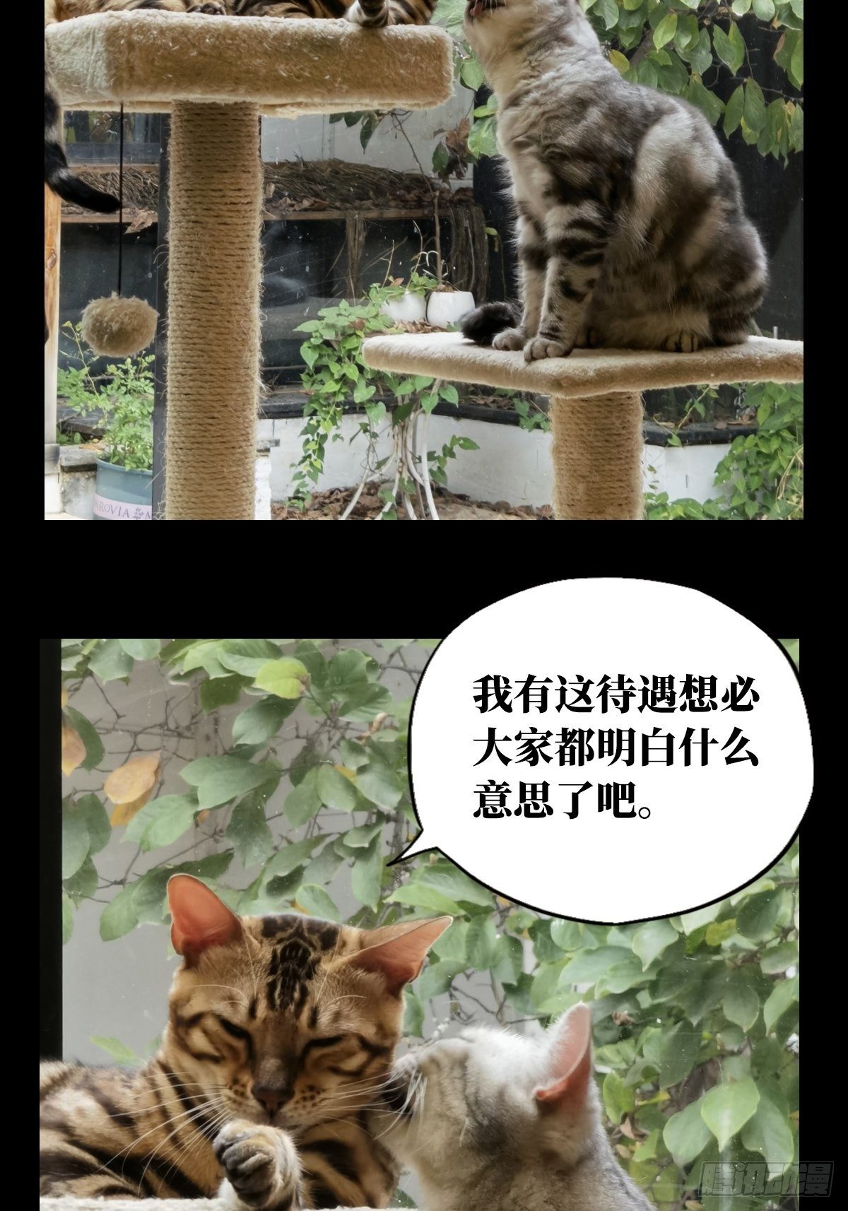 第一百六十六章_牙牙下56