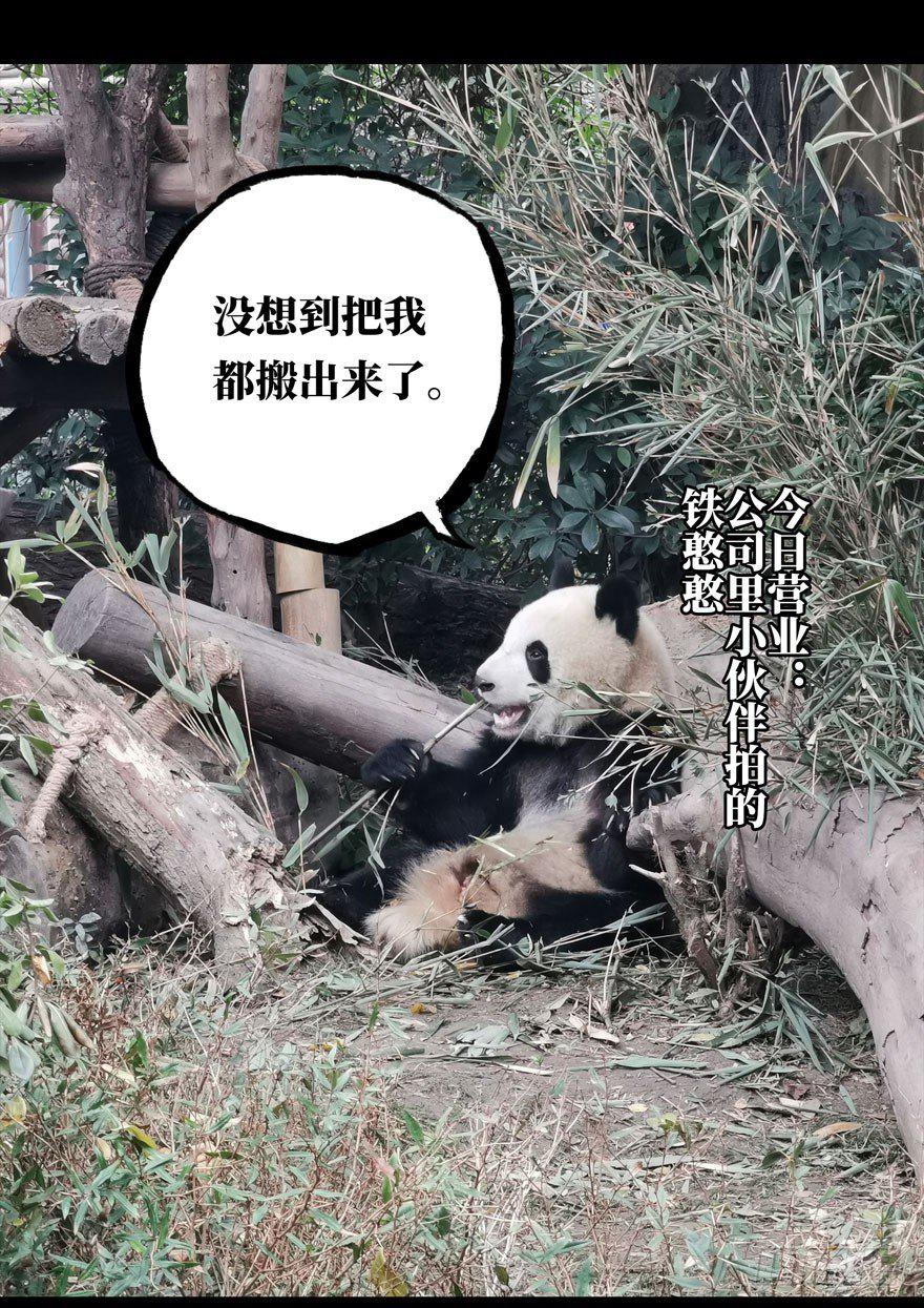 第二十五章_命数下32