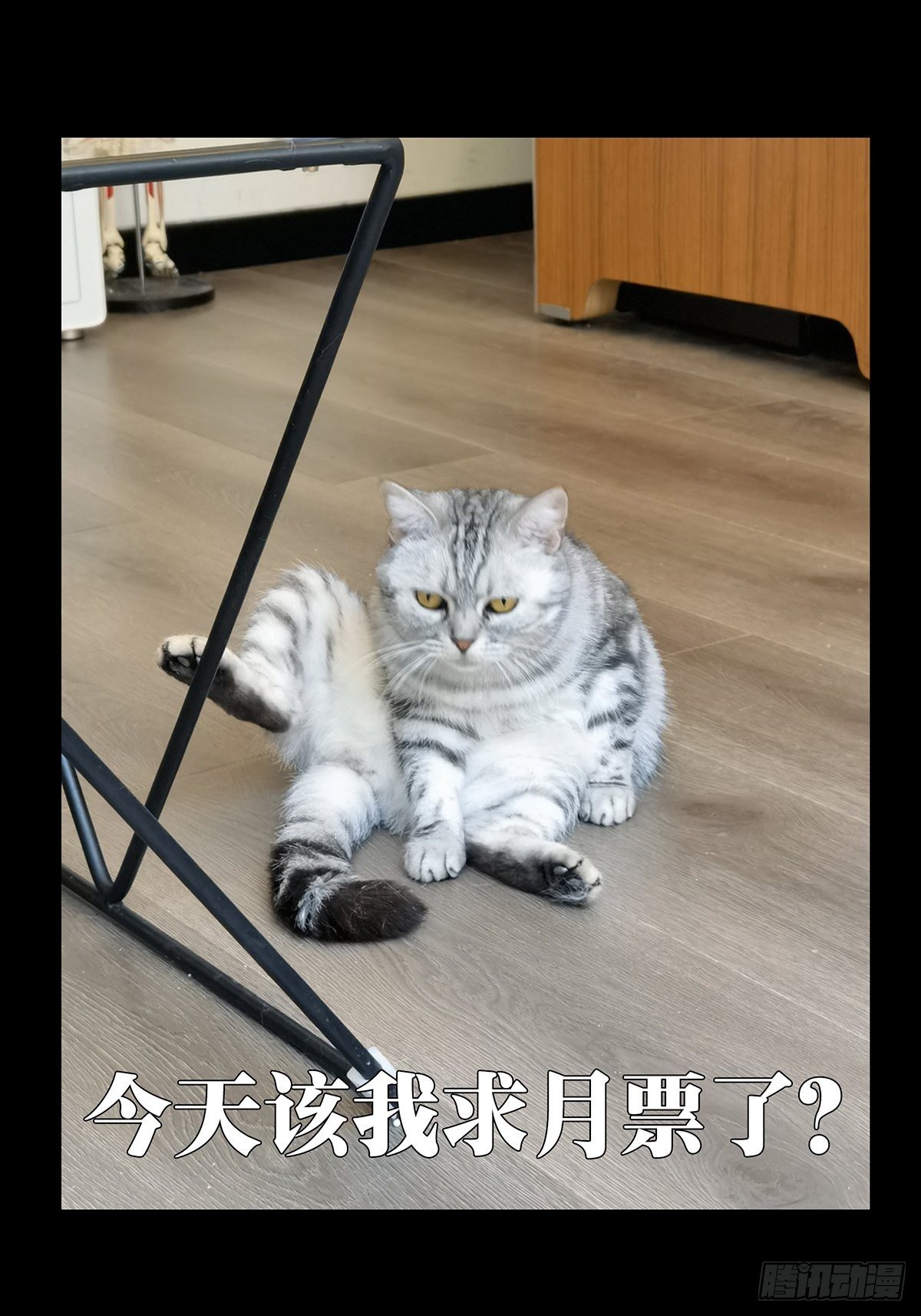 第一百六十五章_牙牙中46