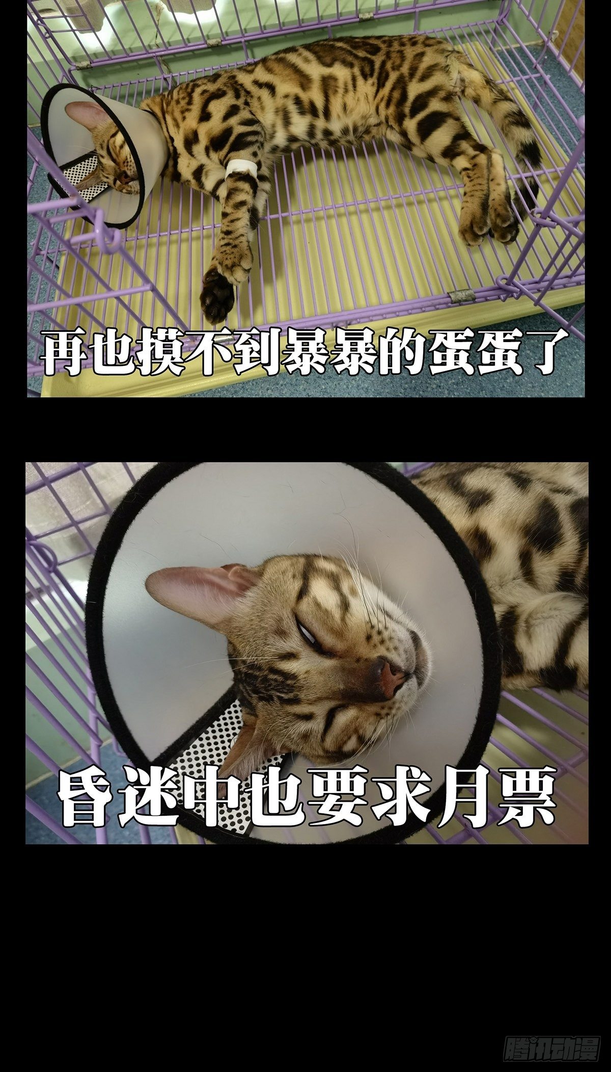 第一百四十四章_舍命中38