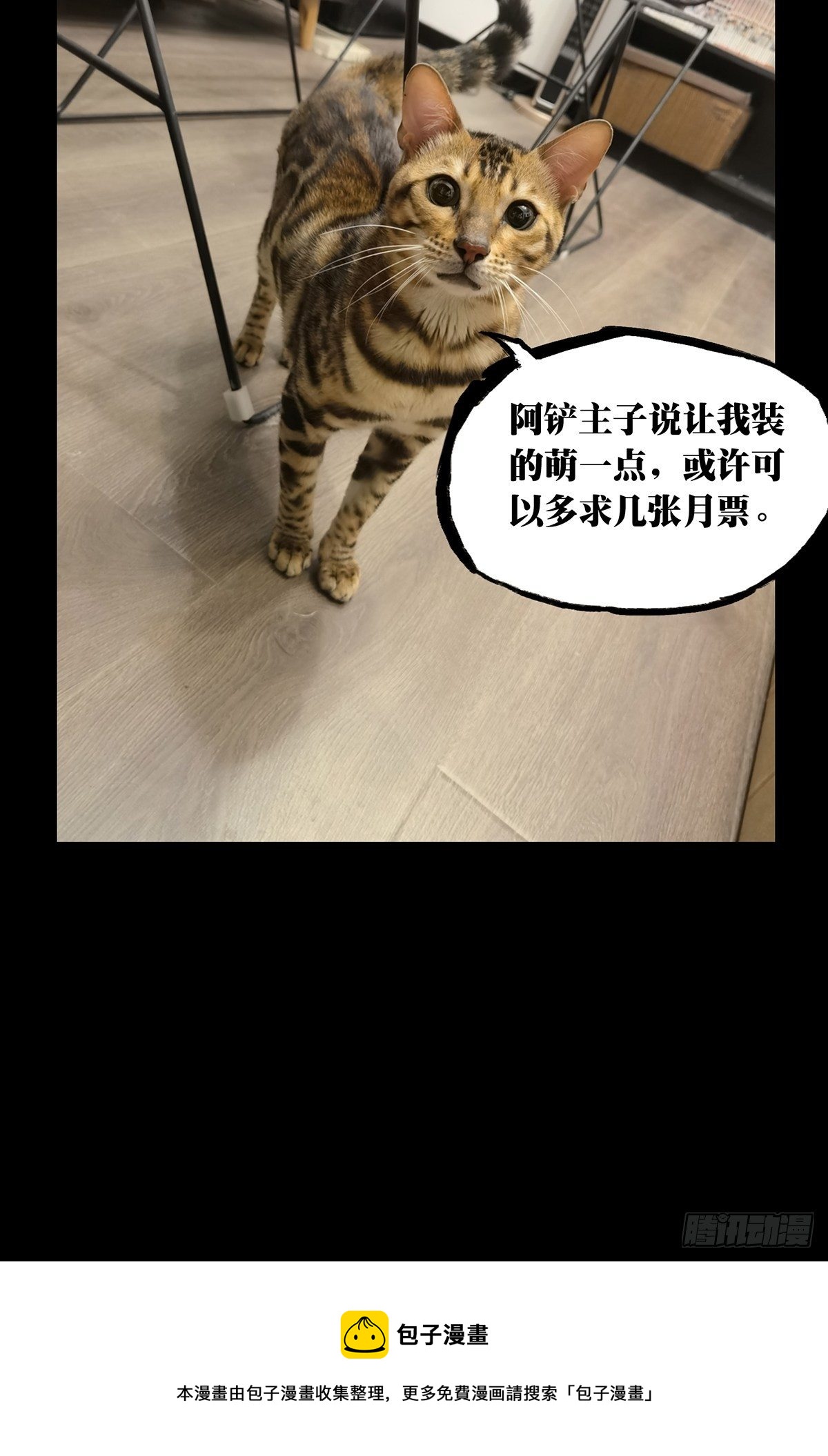 第一百七十六章_竞技开场上38