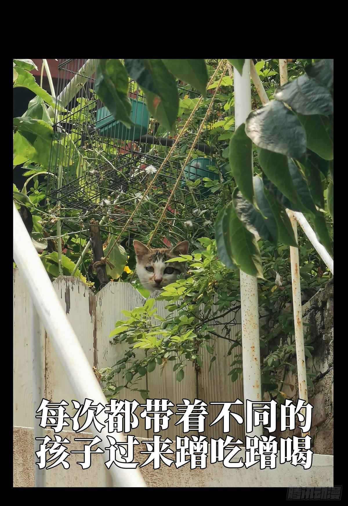 第六十六章_病态中39