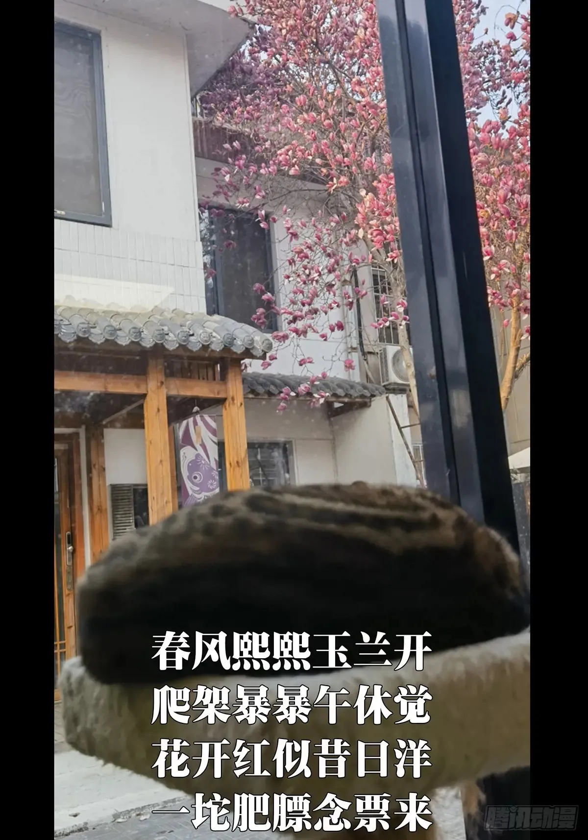 第四百零三章/看戏中50
