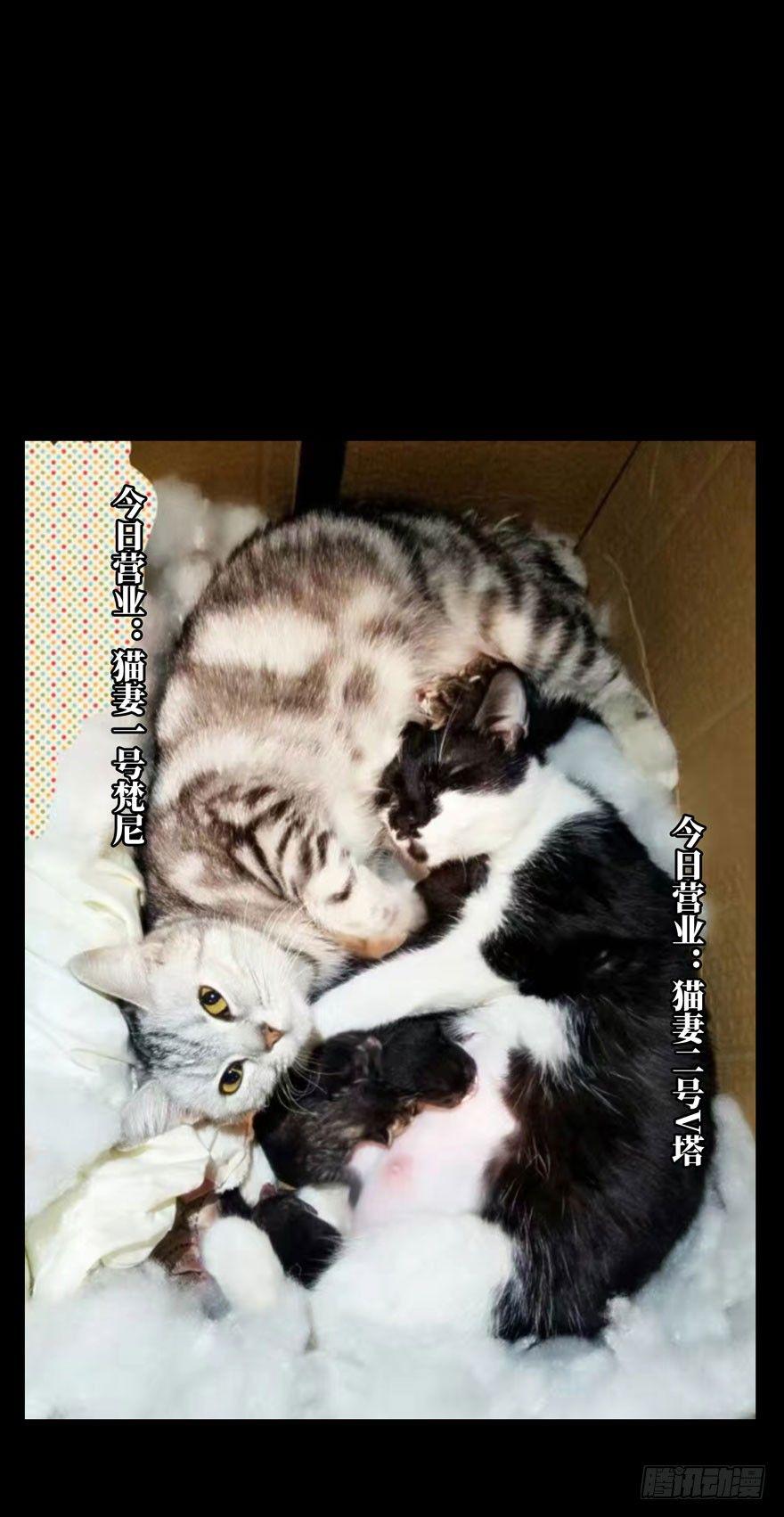第三十八章_洗砚古宅上35