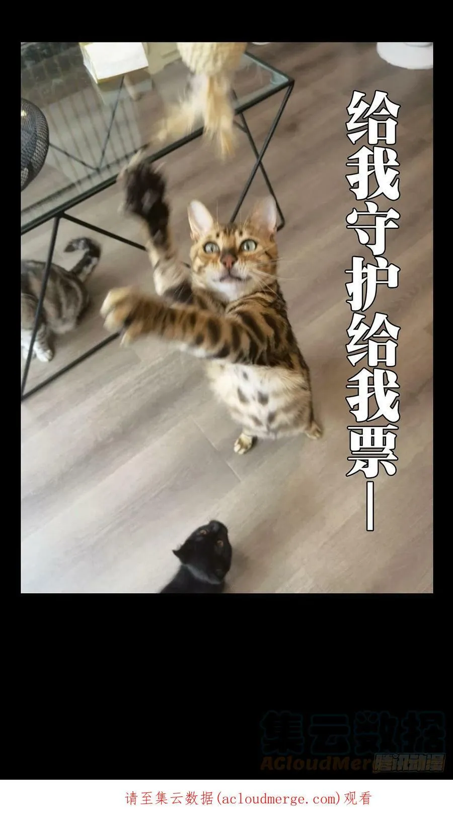 第二百三十二章_小巫主上45