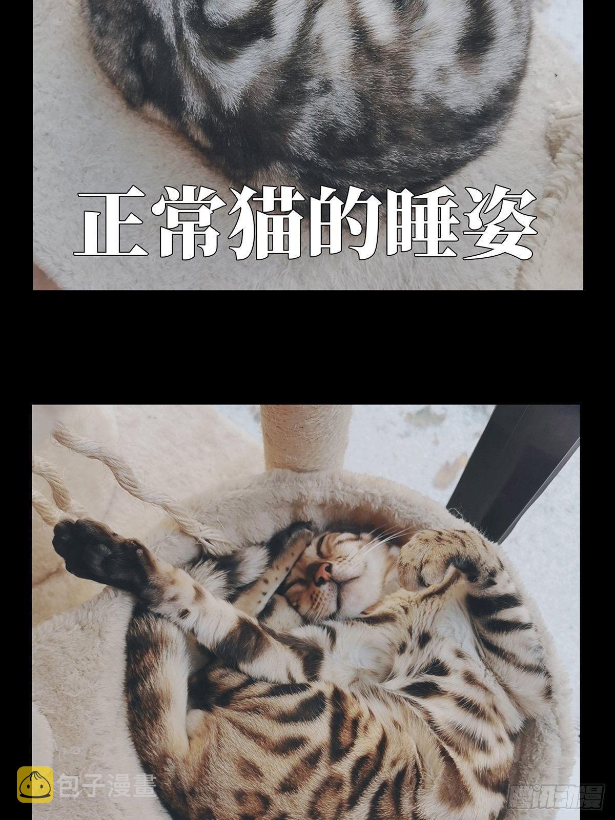 第九十五章_灵息上36