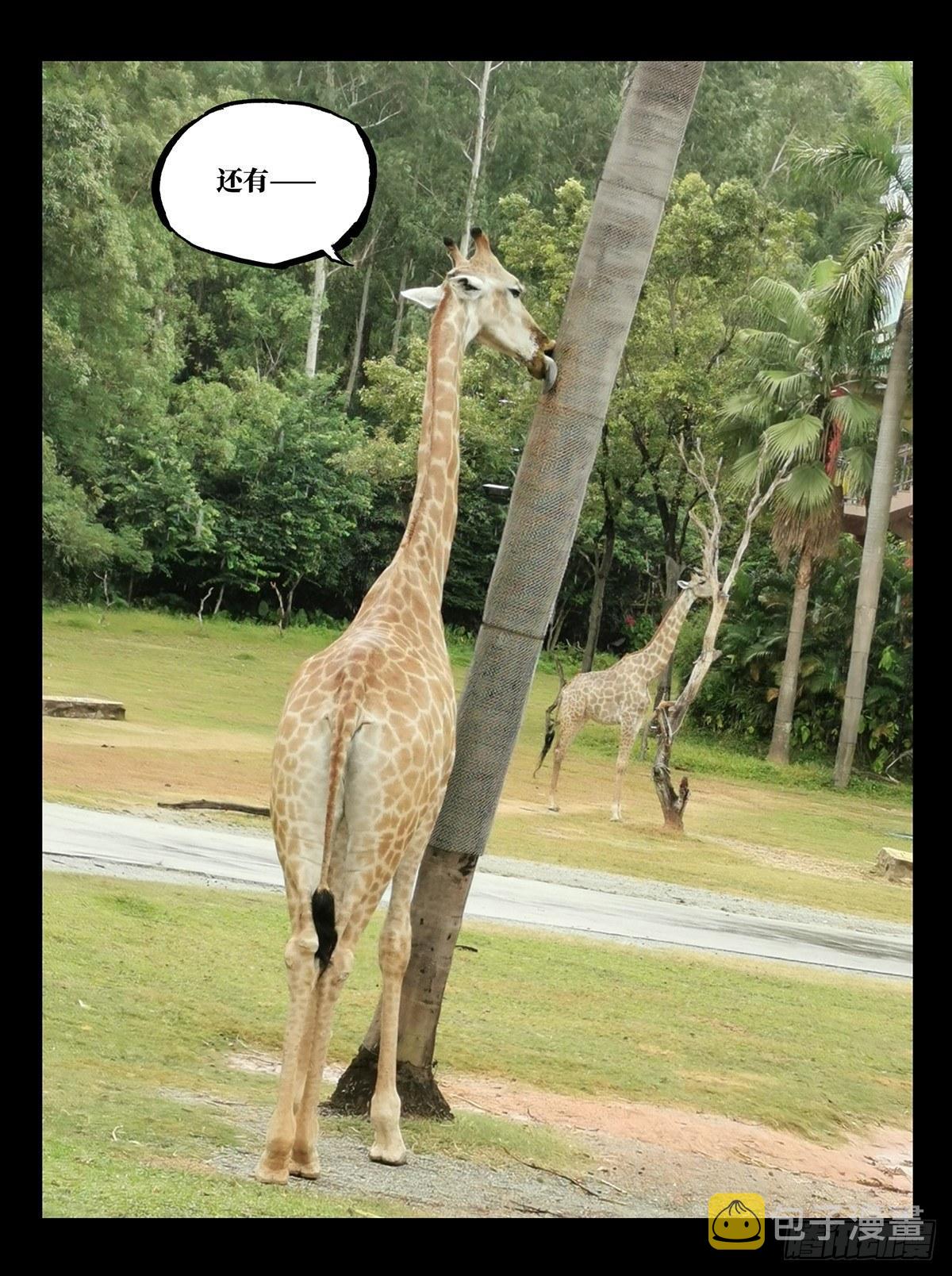 第七十四章_真相上43