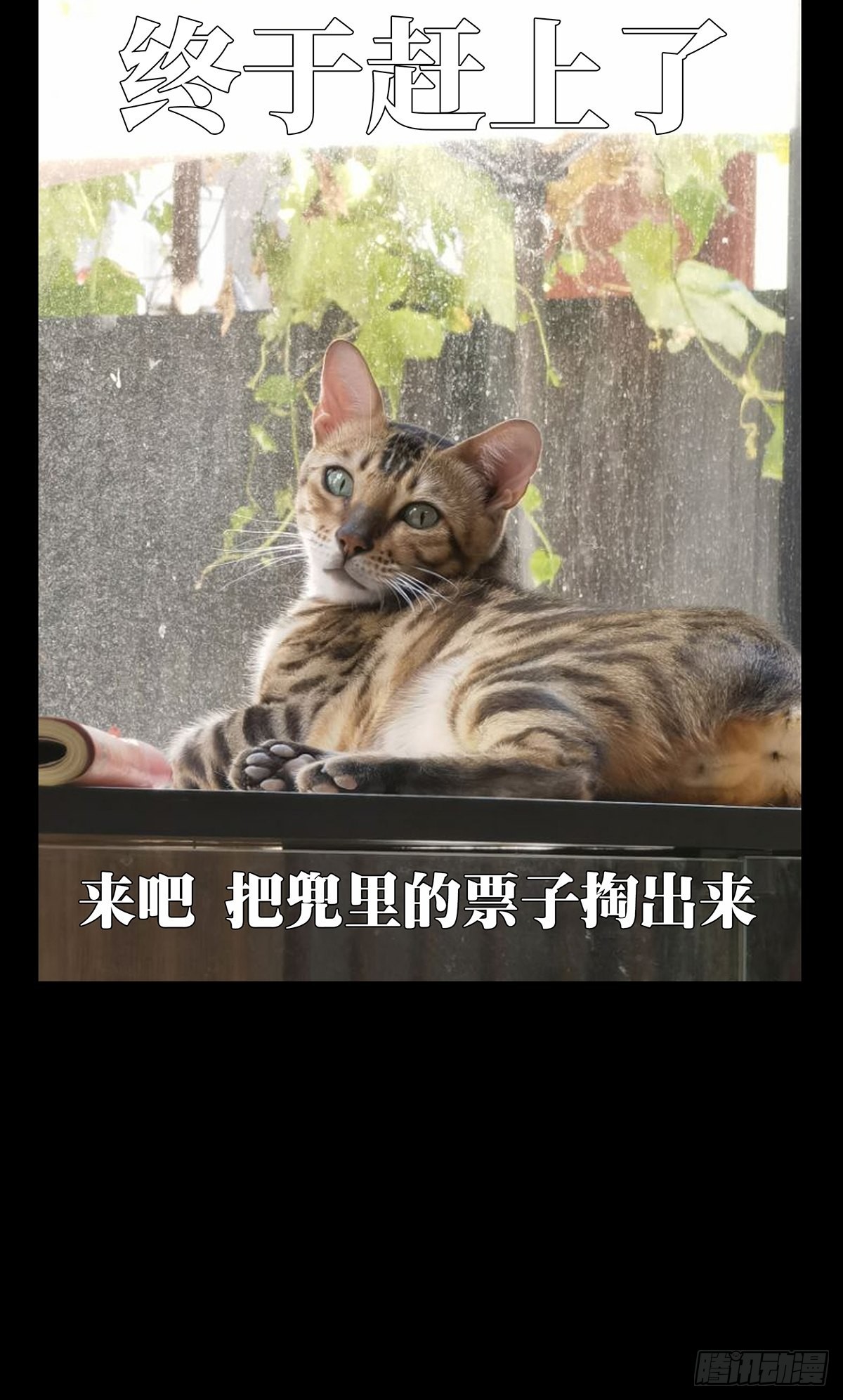 第二百五十五章_决赛开始下43