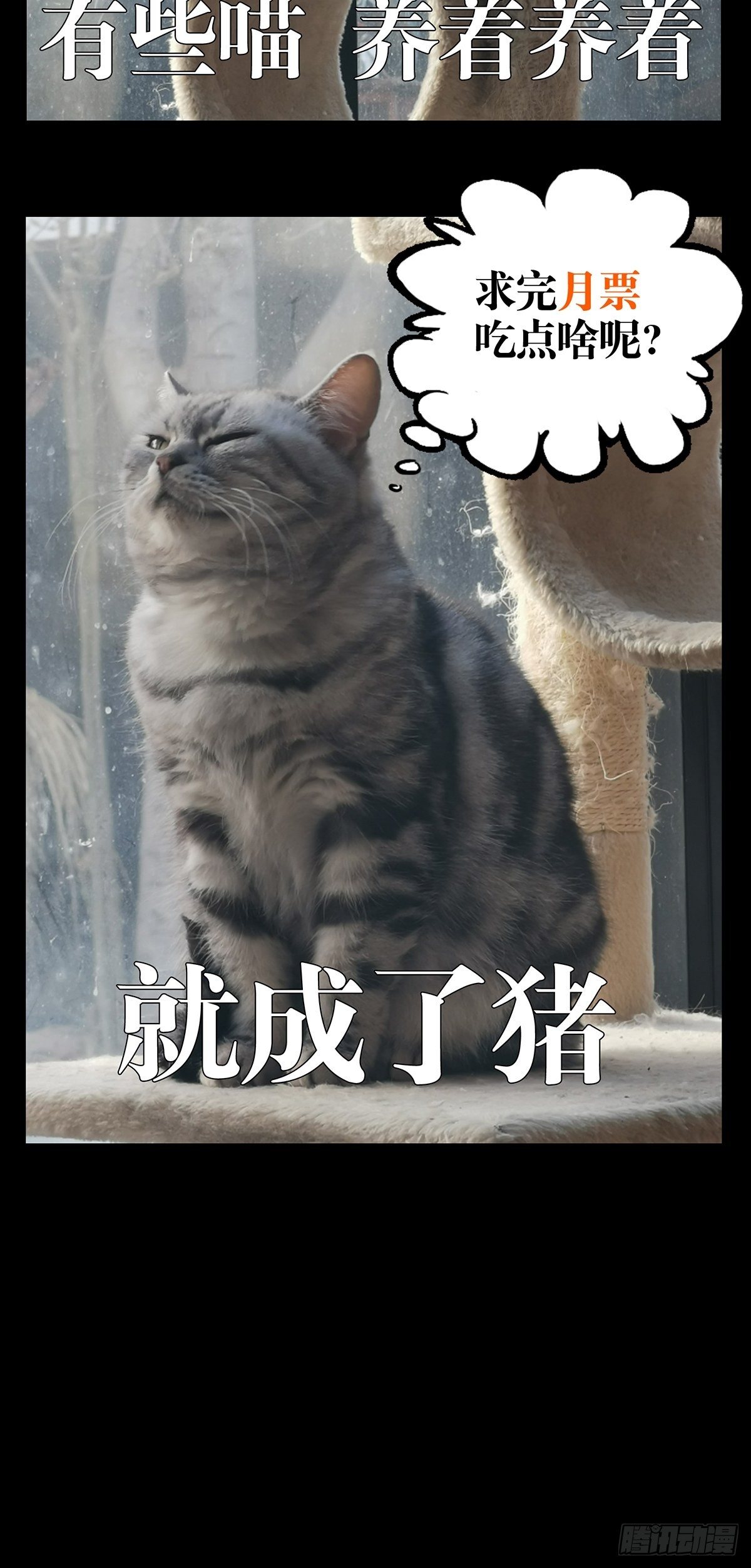 第一百零四章_来临上33