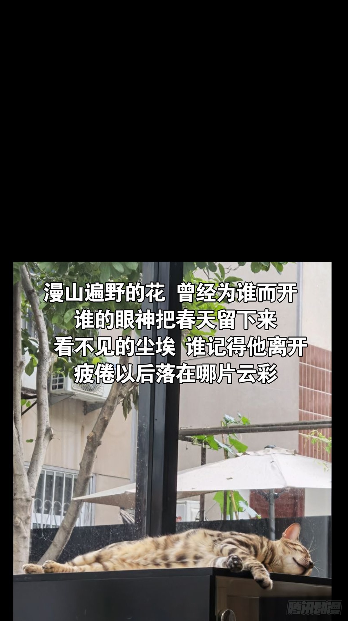 第二百二十九章_第二场上36