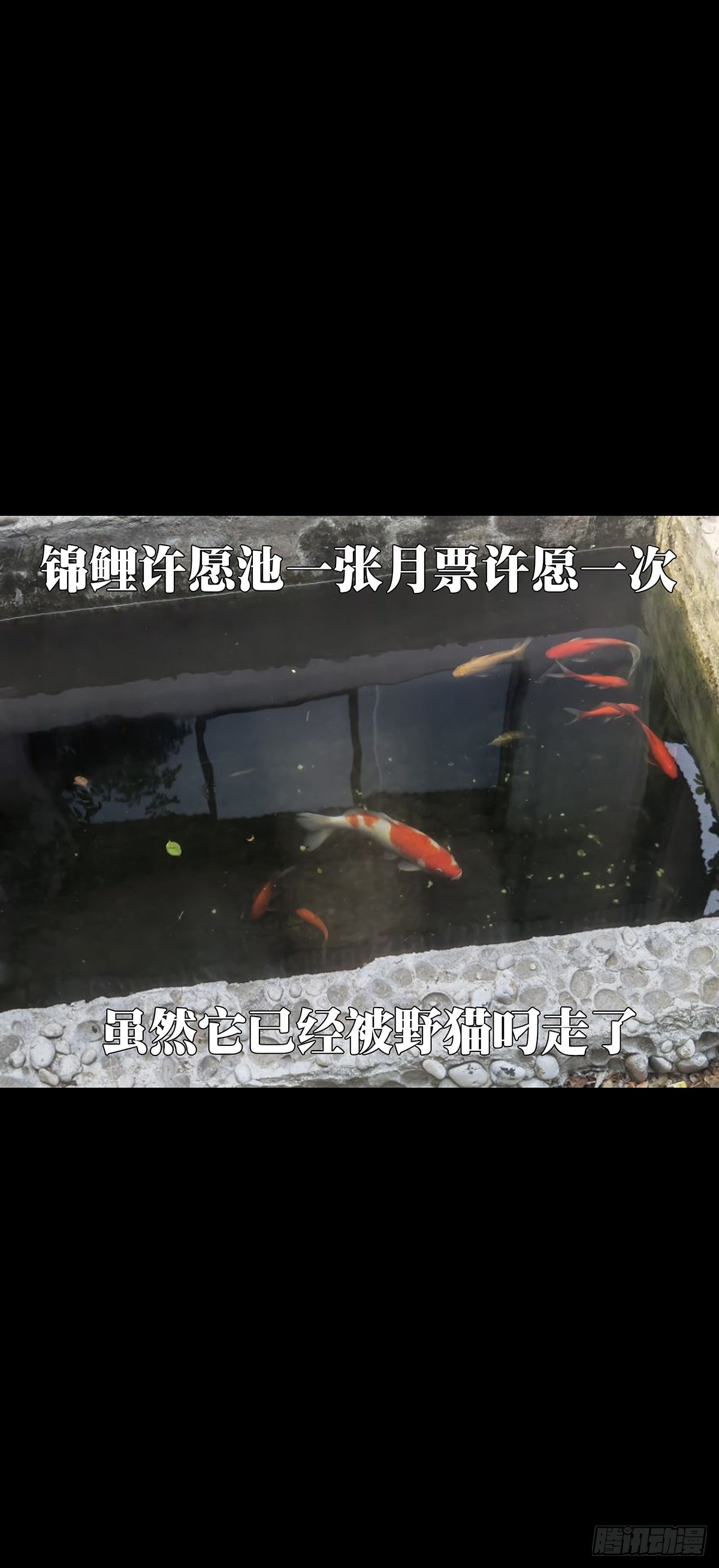 第二百二十八章_抢房子下46