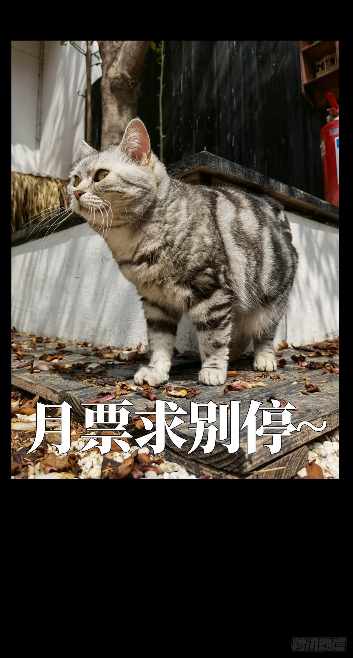 第一百二十八章_情愫上40