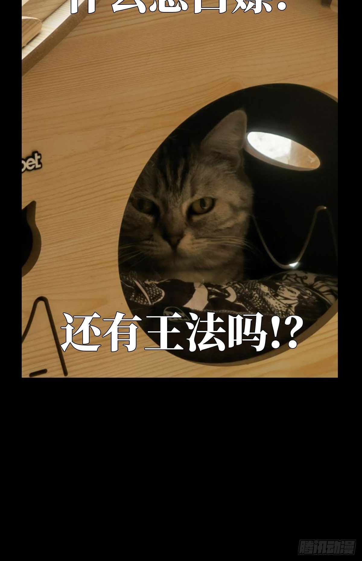第一百二十五章_情感上41
