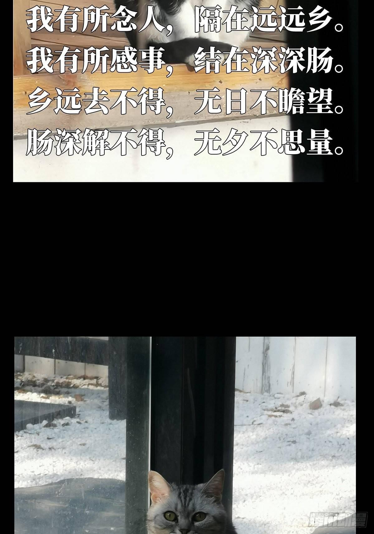 第六十九章_至死不渝中32